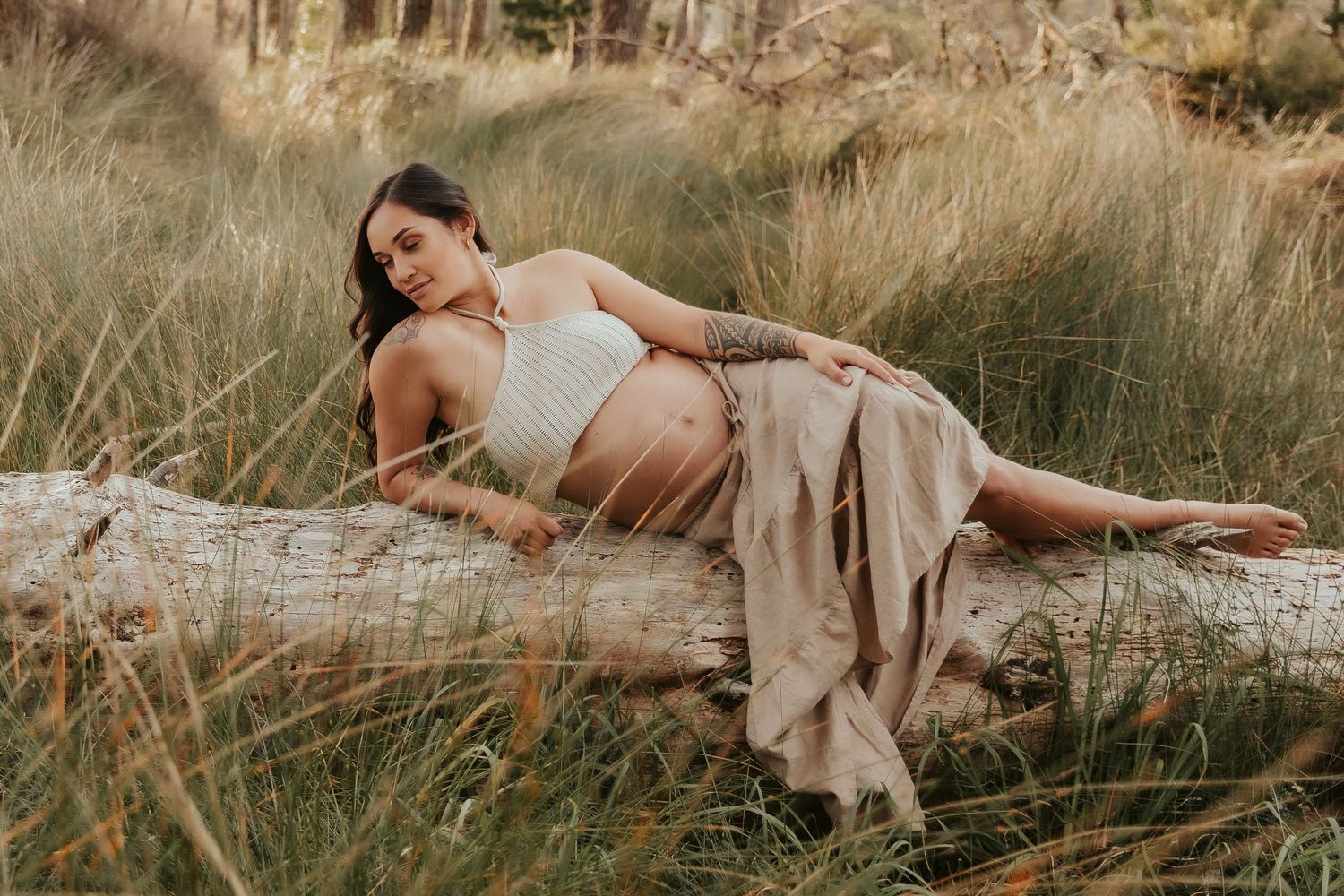 Artistic nature photography featuring tall grass and natural sunlight.