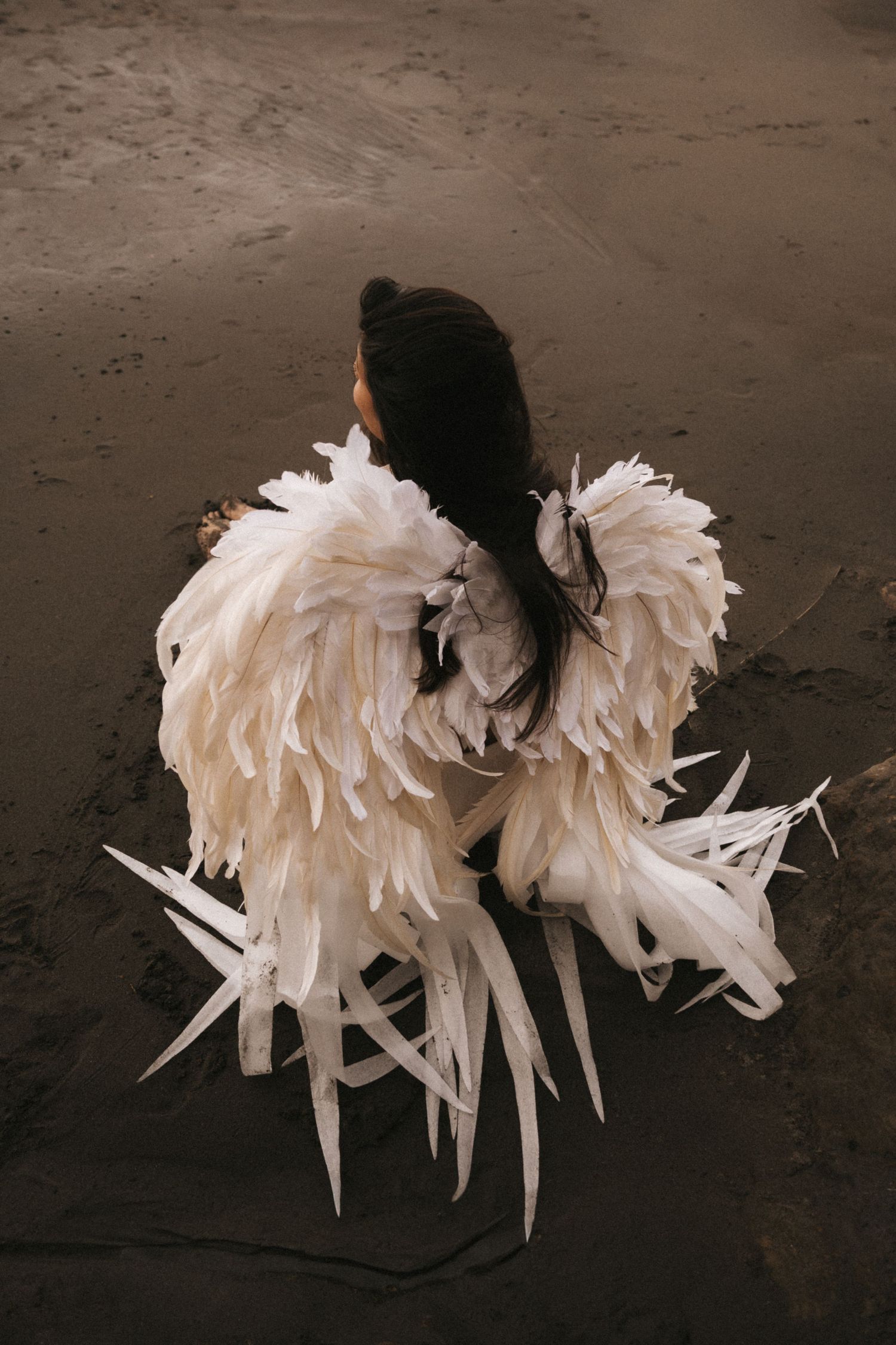 A series of white feathered wings displayed in a sequence against a dark background, showing different angles and positions.