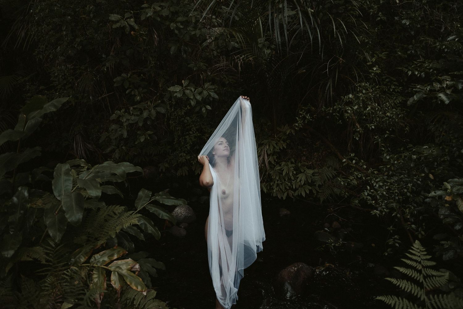 Artistic silhouette covered in translucent fabric creates dramatic poses against dark natural backdrop.