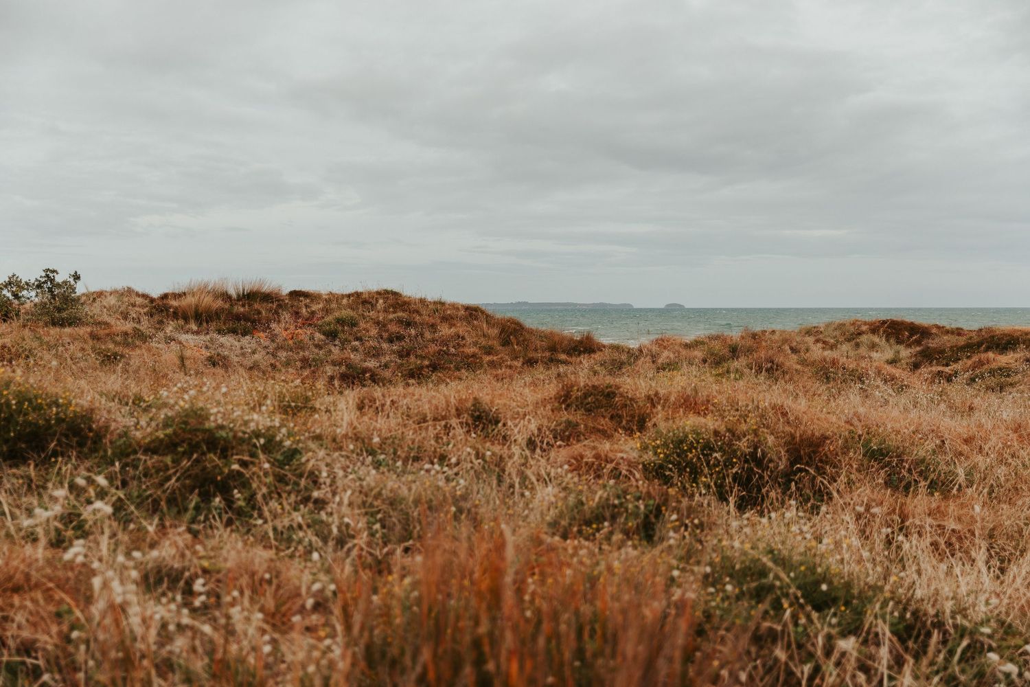 Scenic coastal landscape with rolling hills and cloudy sky.