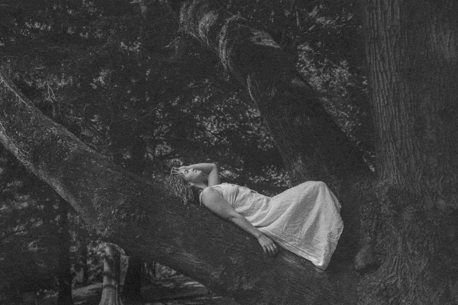 A black and white artistic photo of someone reclining on a tree branch.