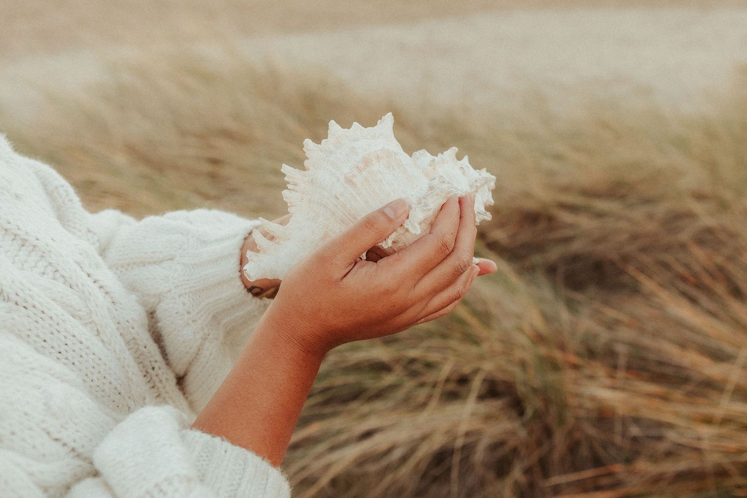 Artistic close-up of hands holding delicate white lace against beach grass.
