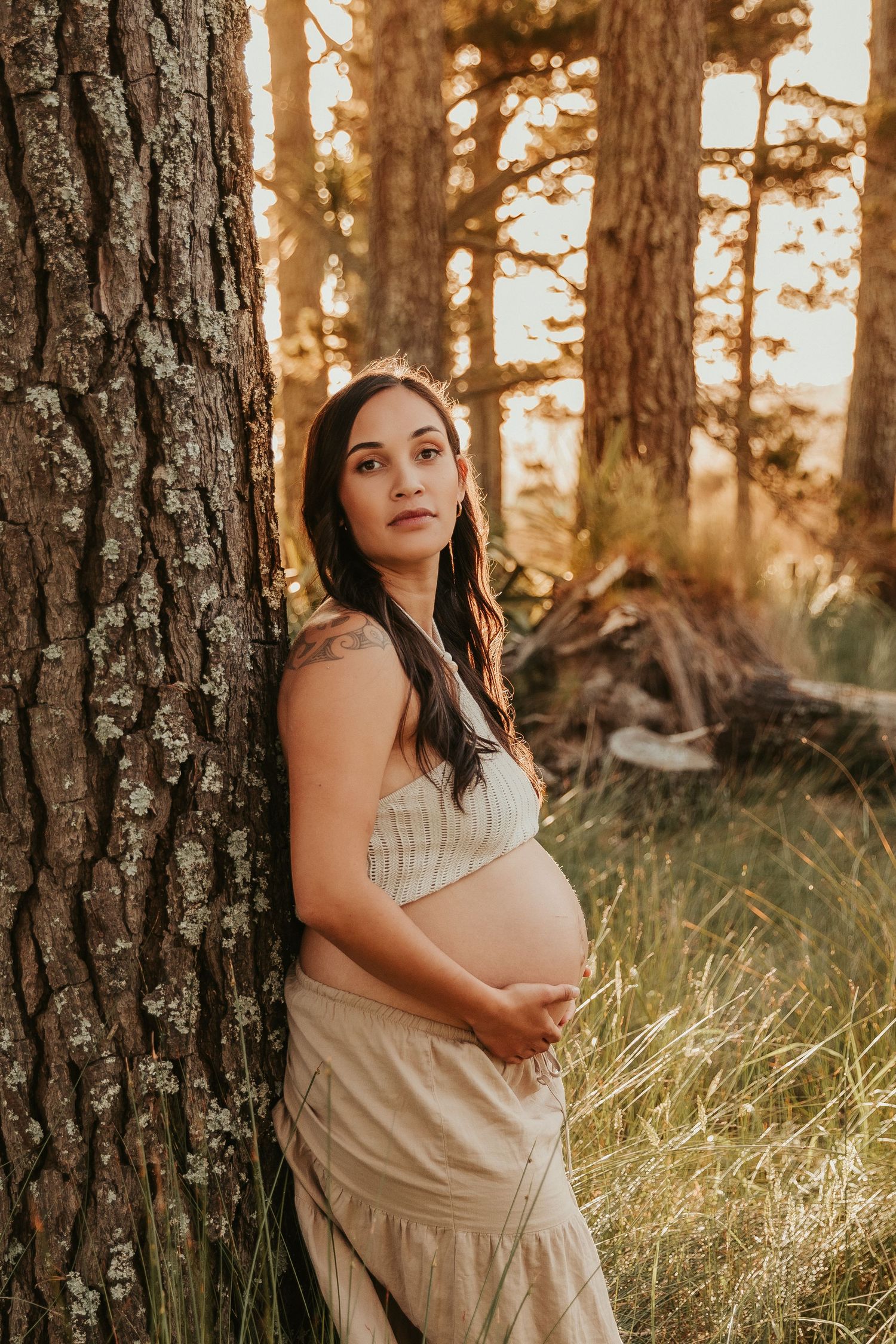 A maternity photoshoot in a sunlit forest with golden light filtering through tall pine trees.