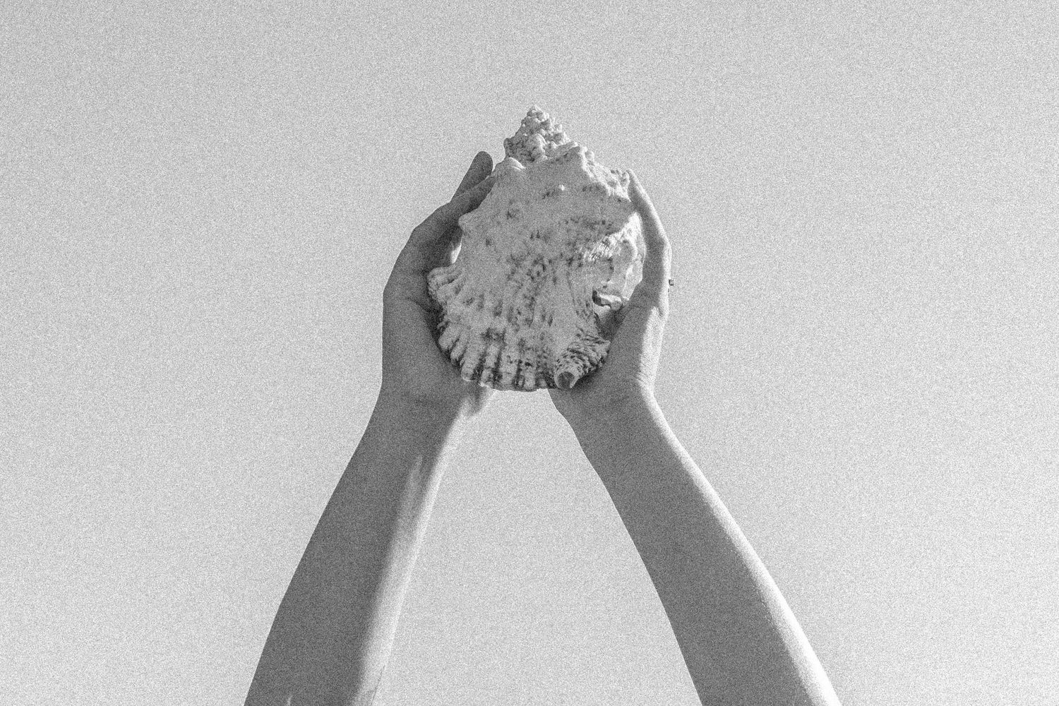 Black and white photograph of hands lifting a seashell against a bright sky.