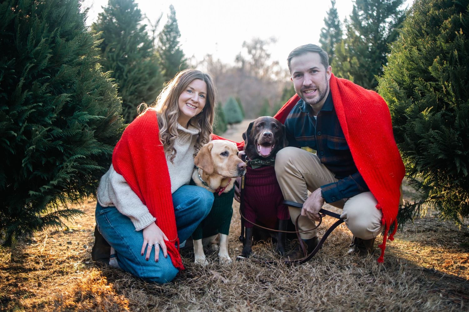 A group sits together on a grassy hill at sunset with their dog during a cozy autumn photoshoot.