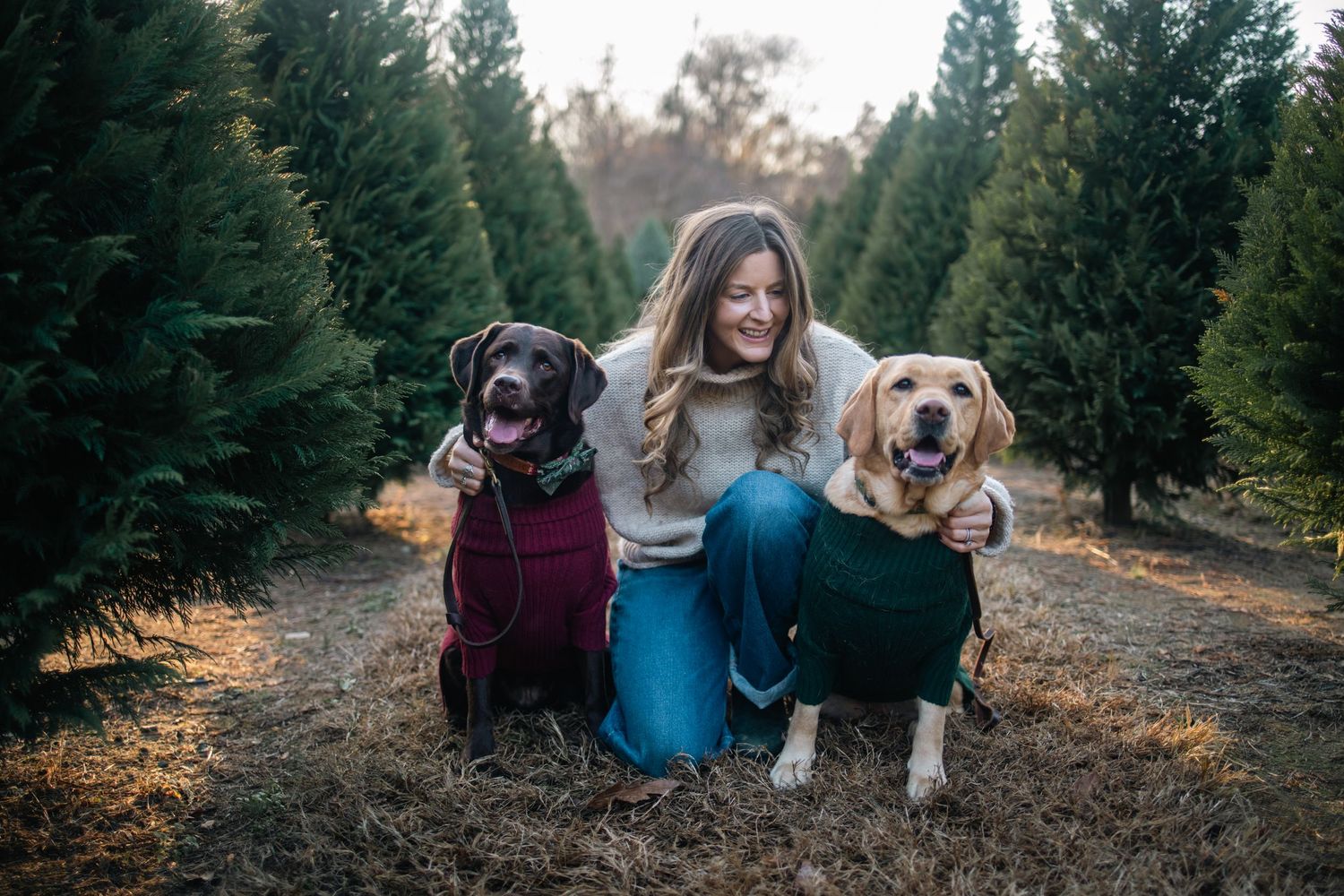 A group of friends and their dogs sit together on a forest path during golden hour.