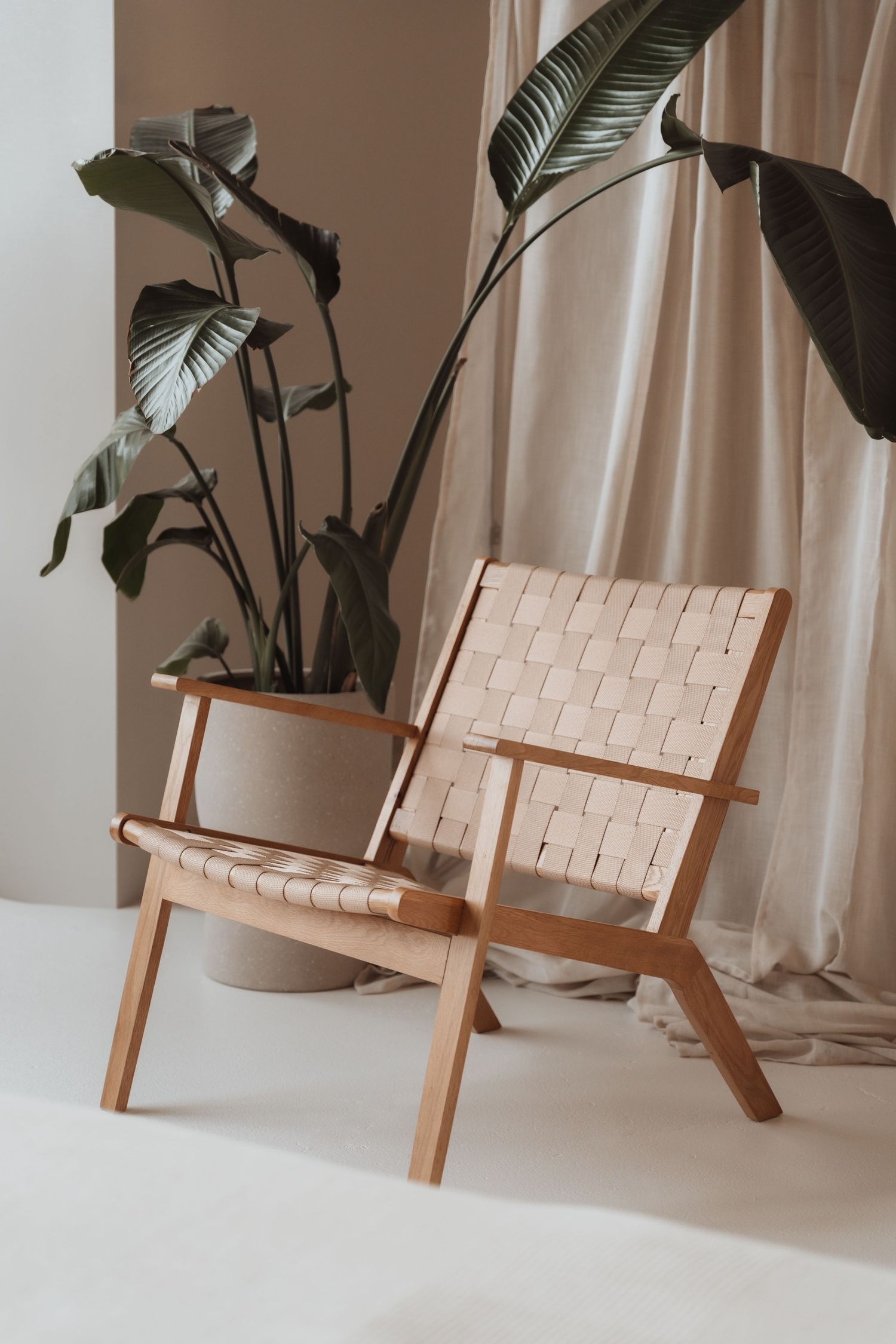 Modern wooden lounge chair with woven leather straps sits beside a large tropical plant in a bright interior.