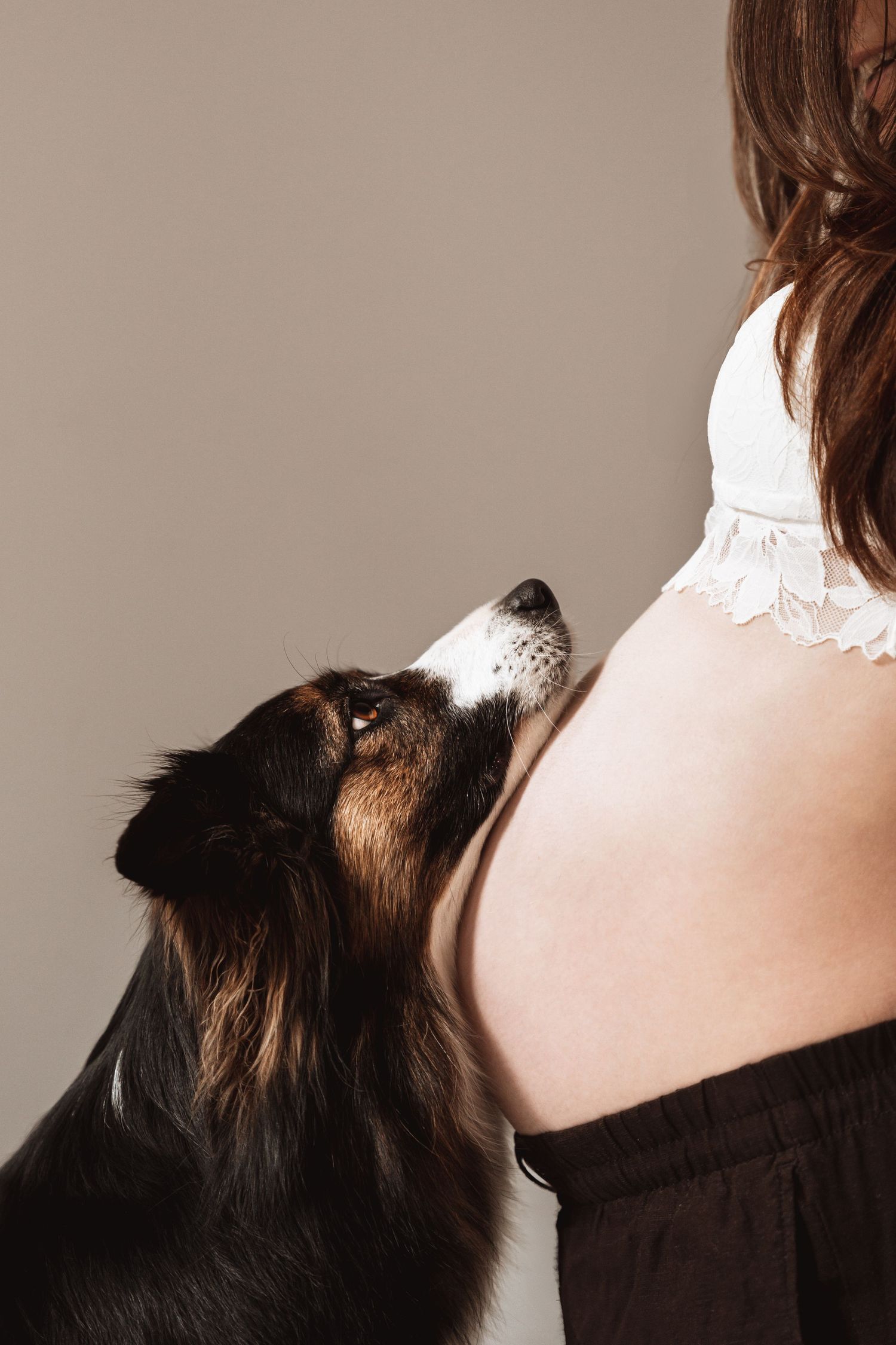 A dog curiously sniffs a pregnant woman's bare belly during a studio maternity photo session.