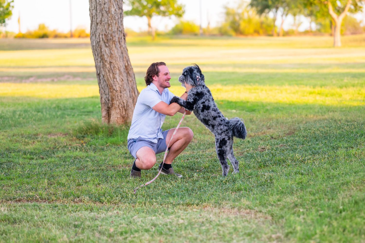 phoenix photographer, arizona photographer, scottsdale photographer, phoenix wedding photographer, scottsdale pet photographer