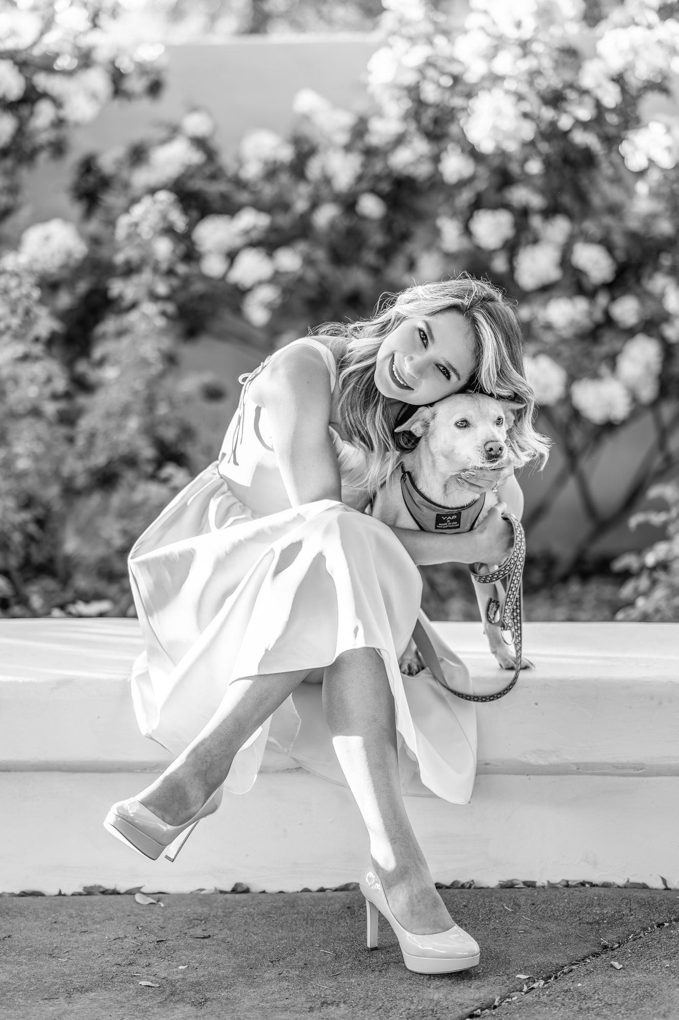 phoenix photographer, arizona photographer, scottsdale photographer, phoenix wedding photographer, scottsdale pet photographer