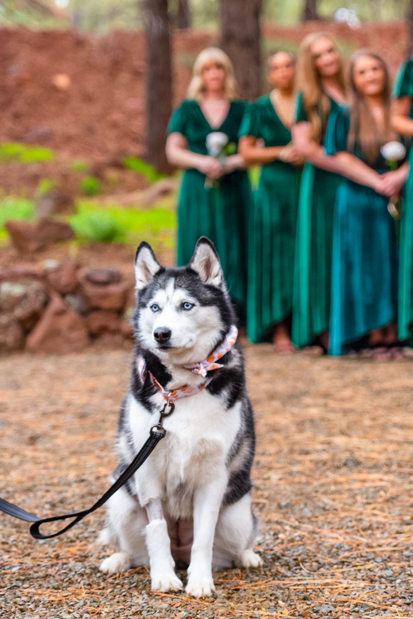 phoenix wedding photographer, wedding photographer phoenix, arizona wedding photographer, flagstaff wedding photographer, jen litt photo