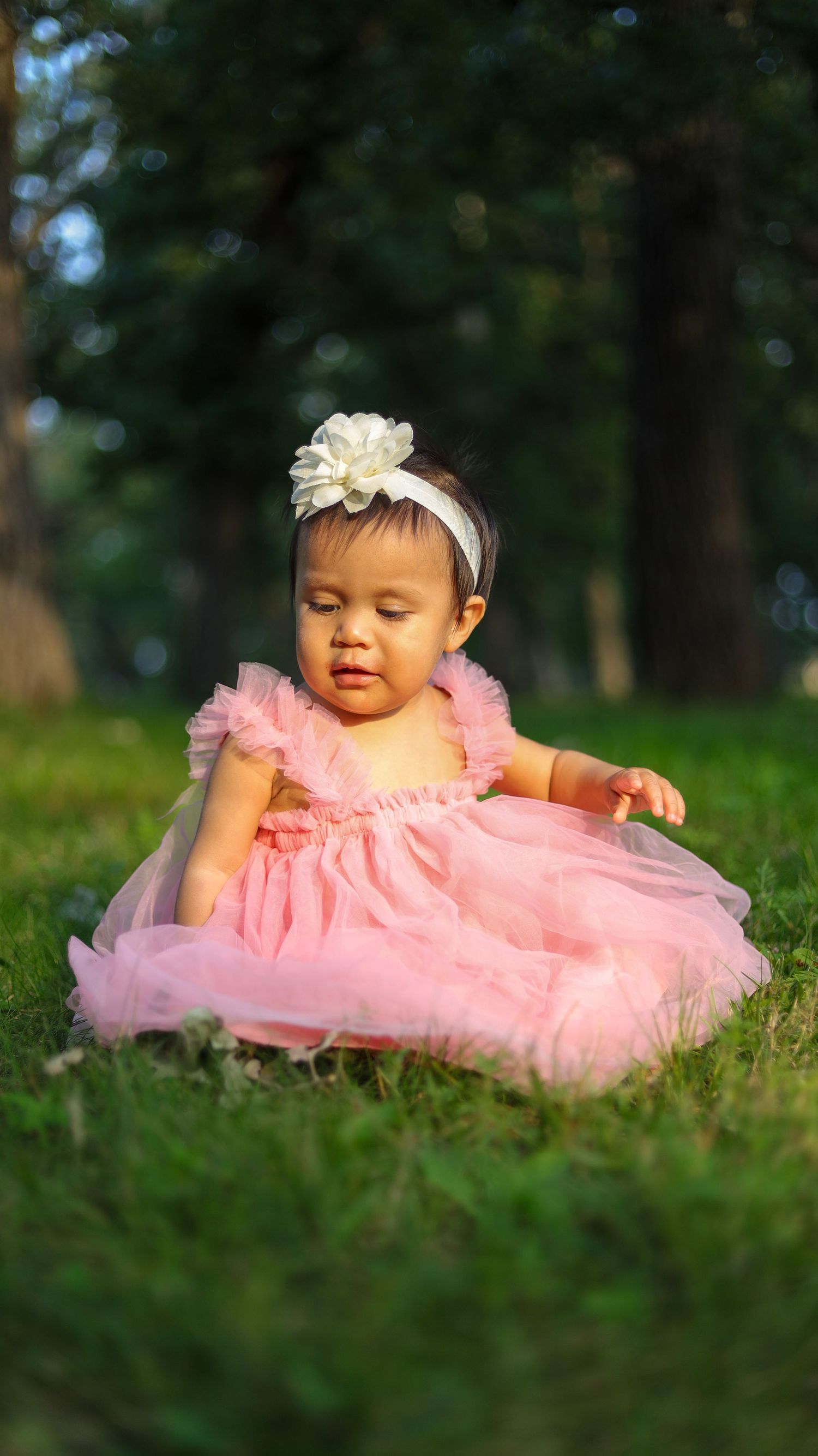 Toddler girl in pink dress sitting on grass during outdoor portrait session in Minneapolis