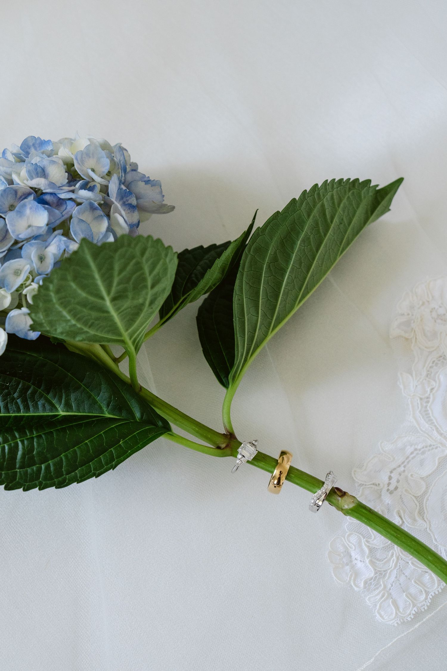 Blue hydrangea stem with gold and diamond wedding rings resting on white lace fabric.