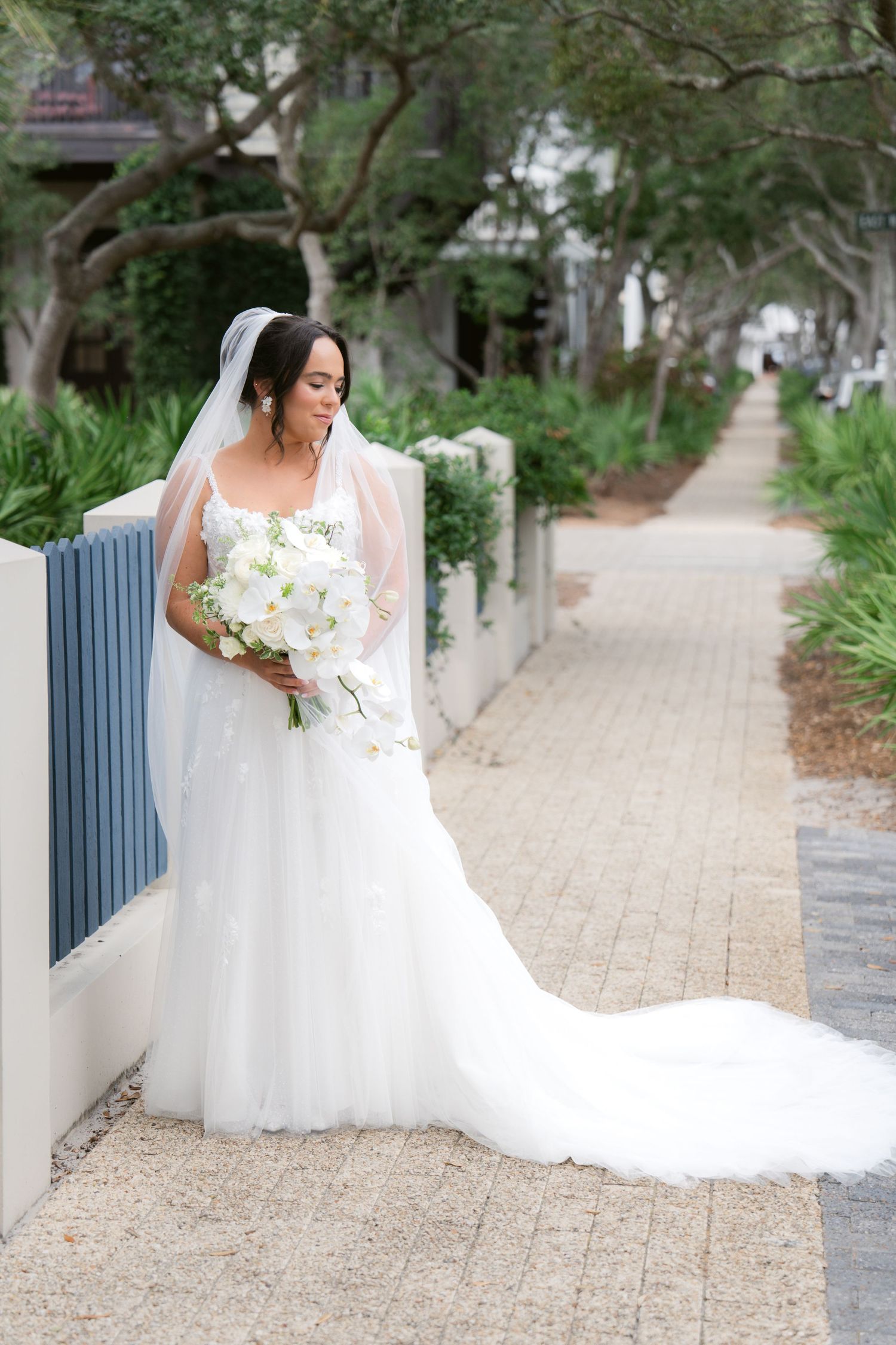 Virginia Beach and Richmond and Destination wedding photographer captures bridals in Rosemary Beach, Florida