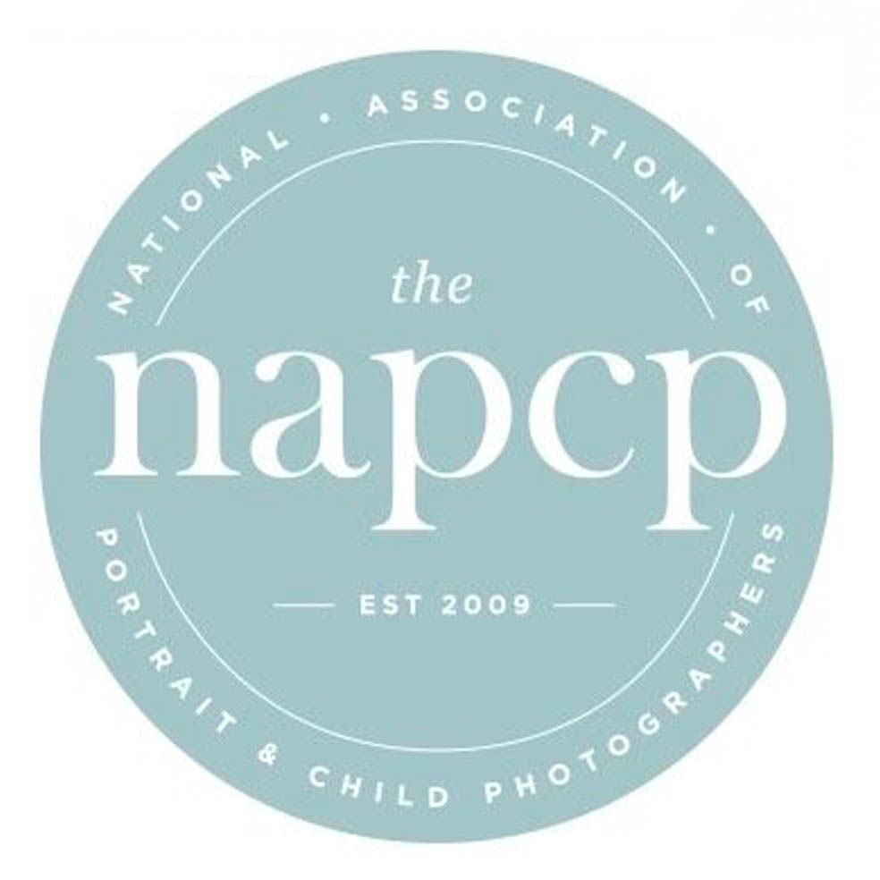 Photo of an award won by Seattle portrait photographer.