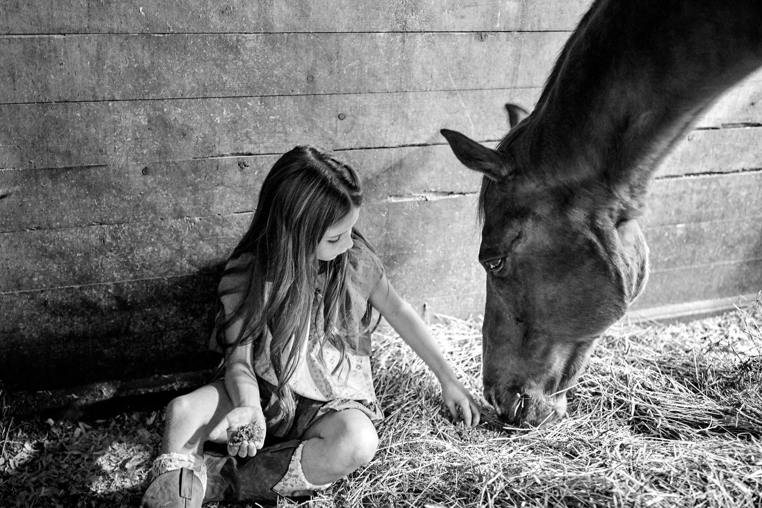 Black and white photo of a young girl sitting in hay, feeding a dark horse inside a stable.