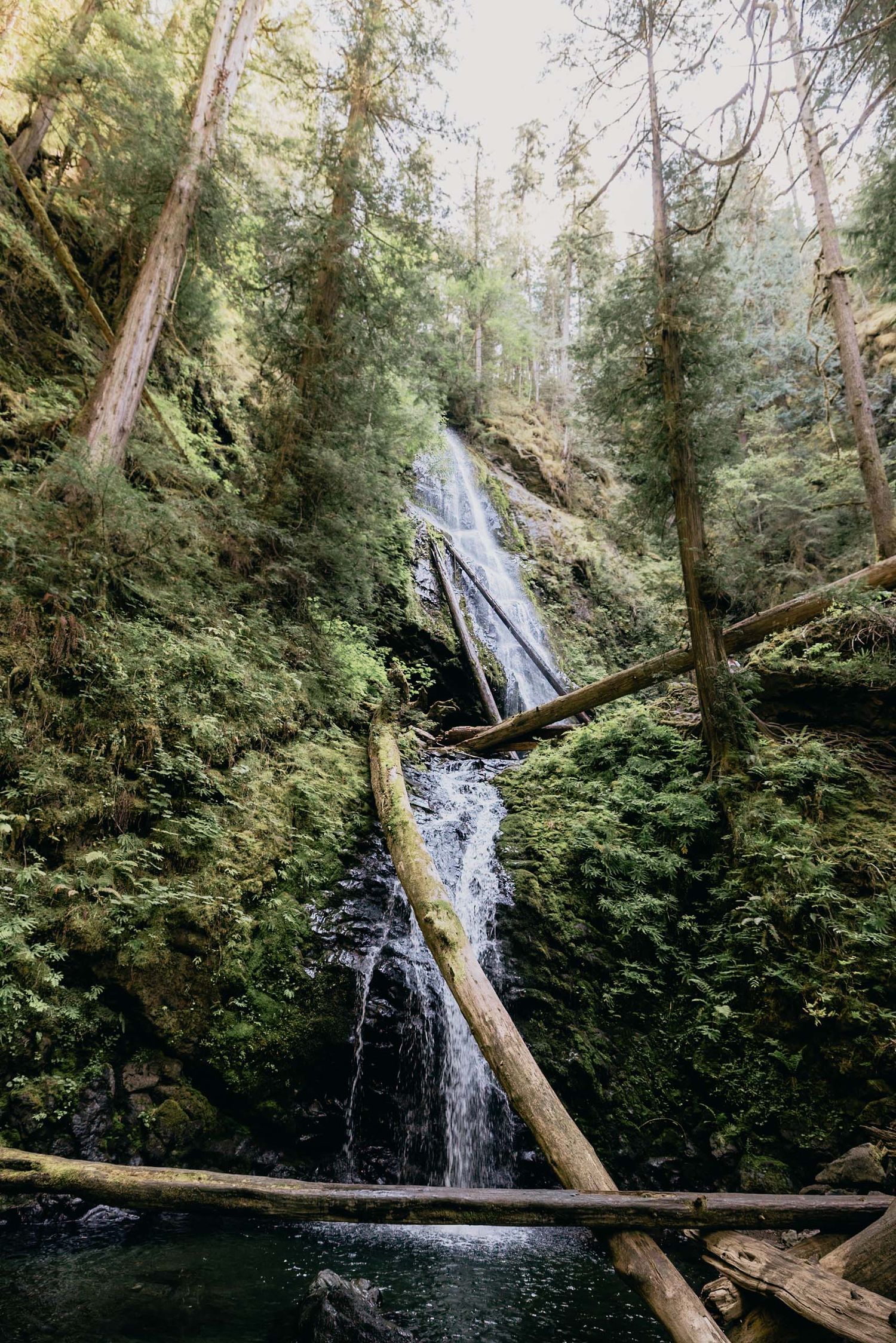 A serene waterfall cascades through a lush green forest with fallen logs crossing a tranquil pool below.
