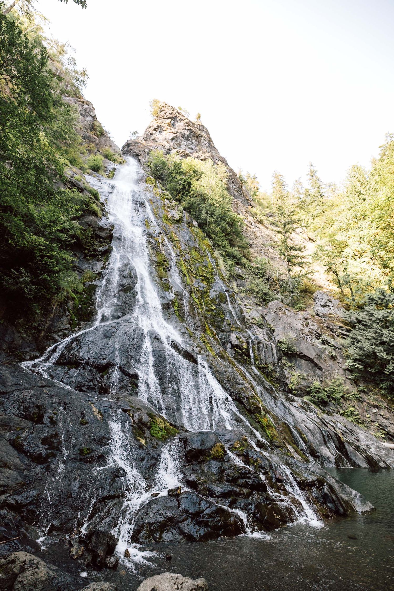 A cascading waterfall flows down a rocky cliff surrounded by lush green trees into a serene pool below.