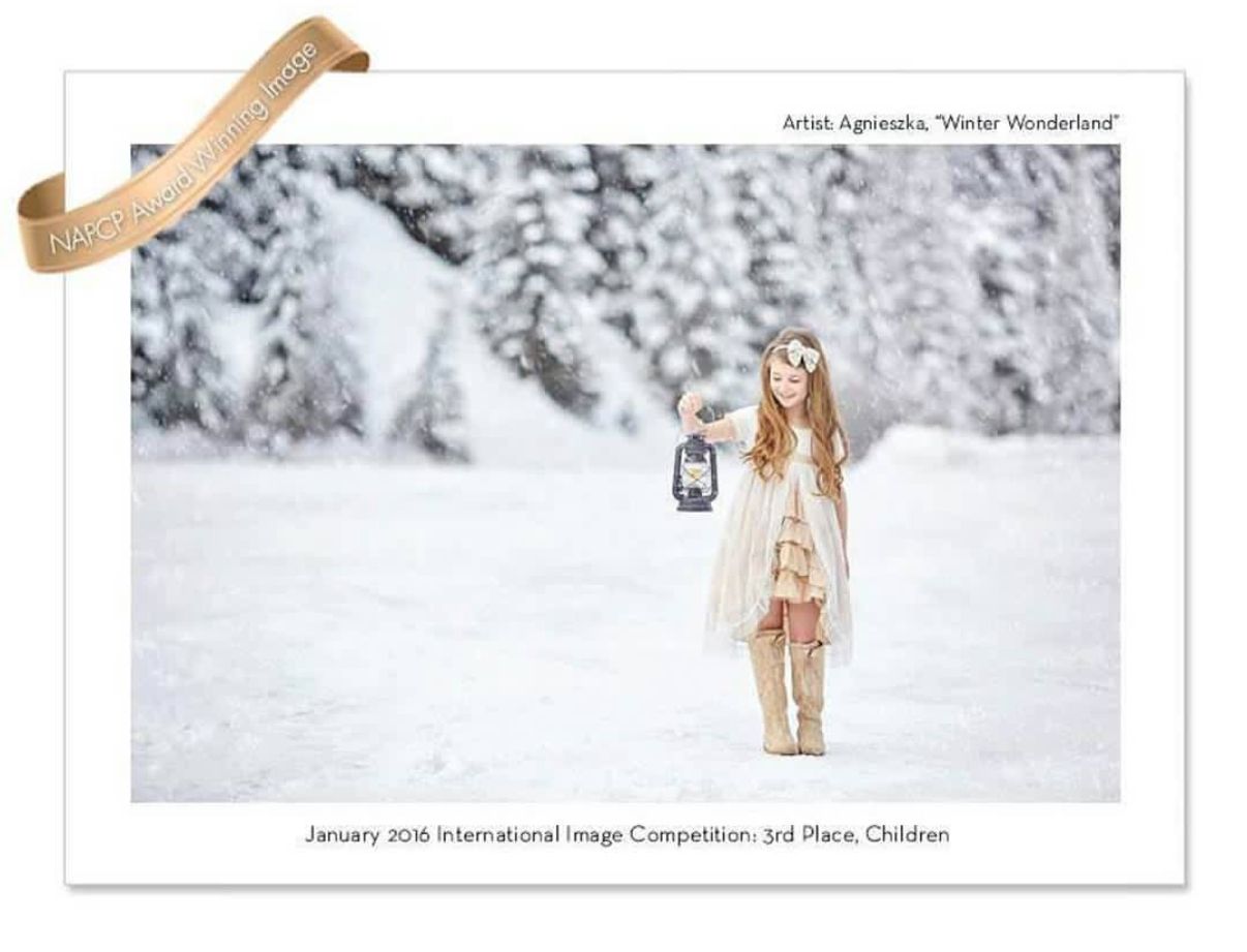 Photo of an award won by Seattle portrait photographer.