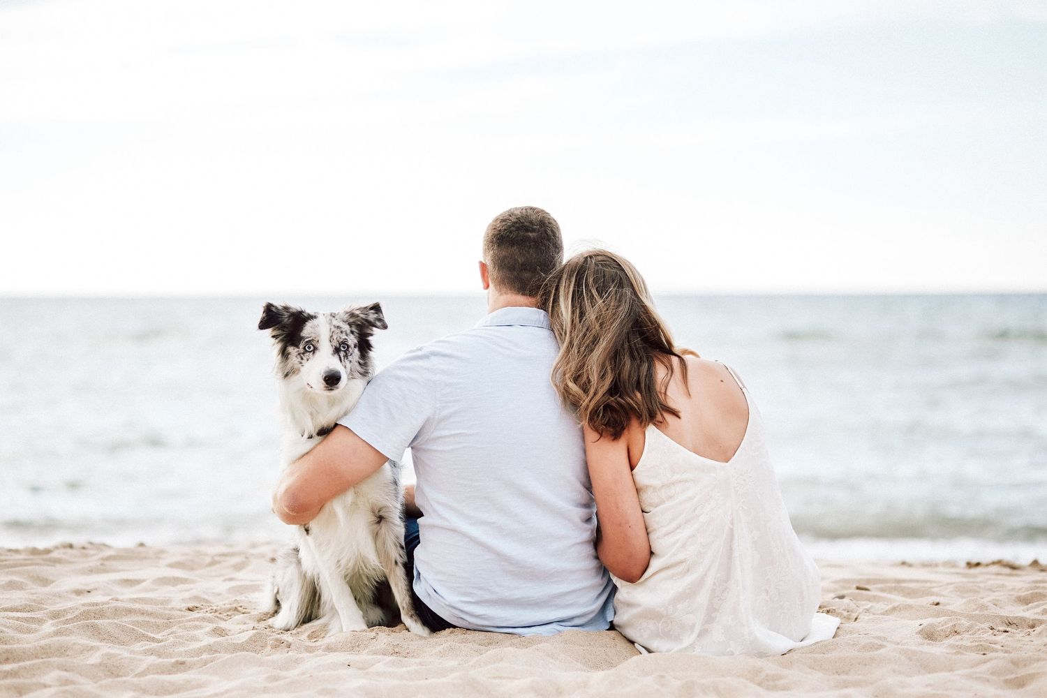 Couple sitting on sandy beach with border collie dog, backs to camera, overlooking calm ocean water.