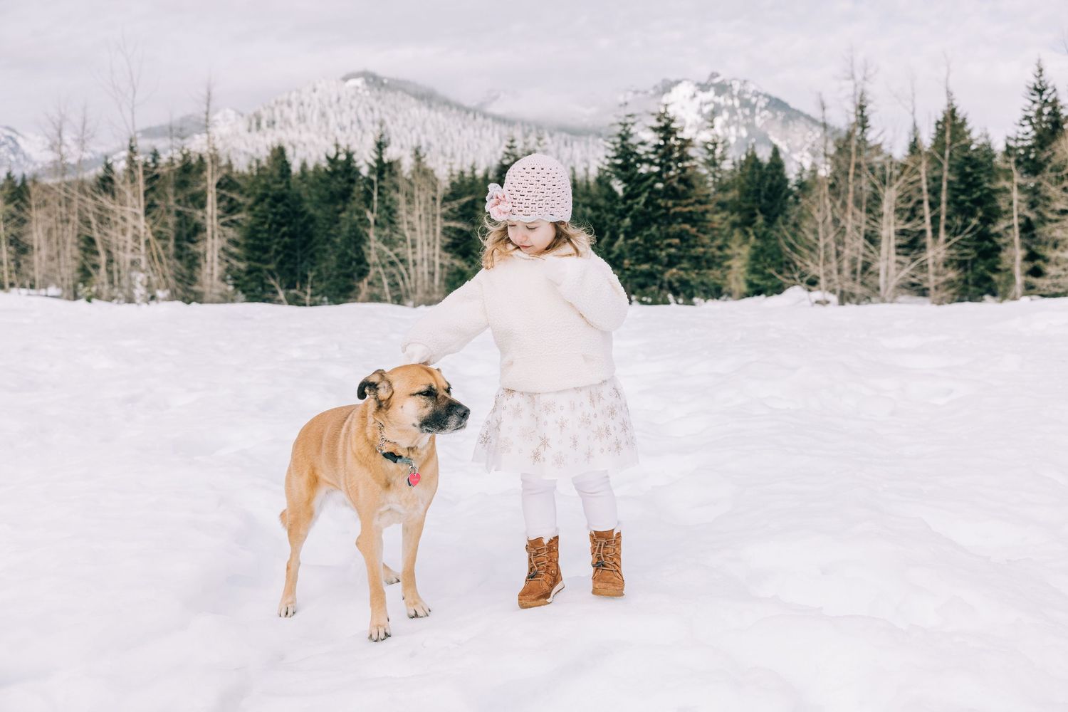 Young girl in pink hat and white sweater playing with a tan dog in a snowy mountain landscape.