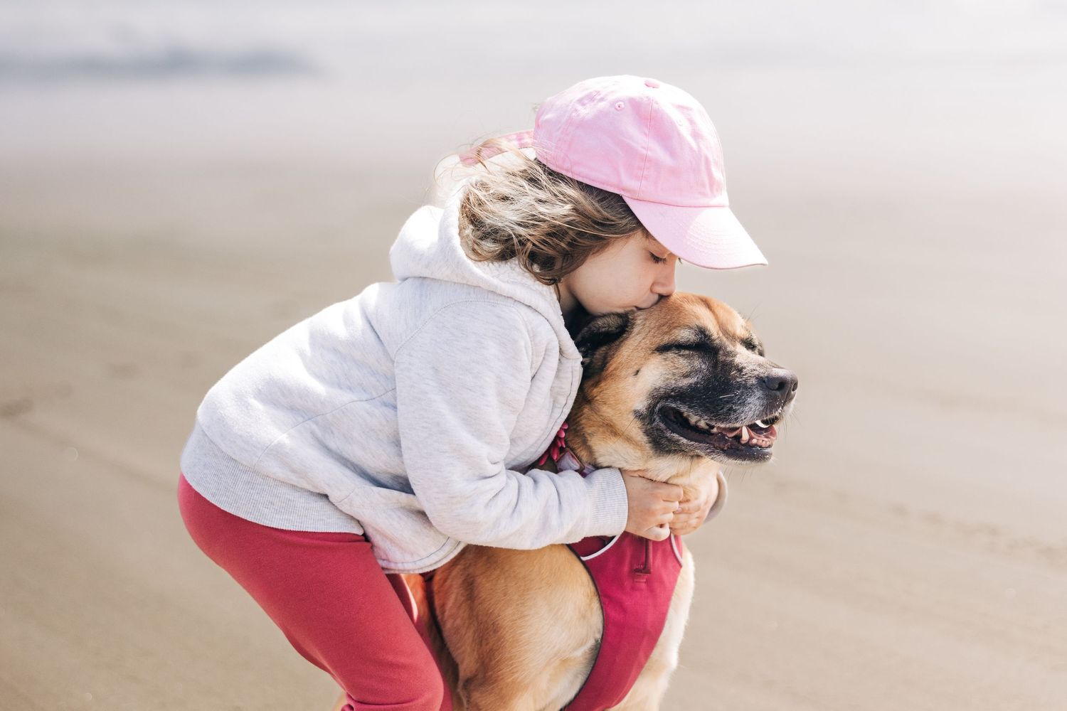 Young girl in pink cap hugging a large German Shepherd dog on a sandy beach.