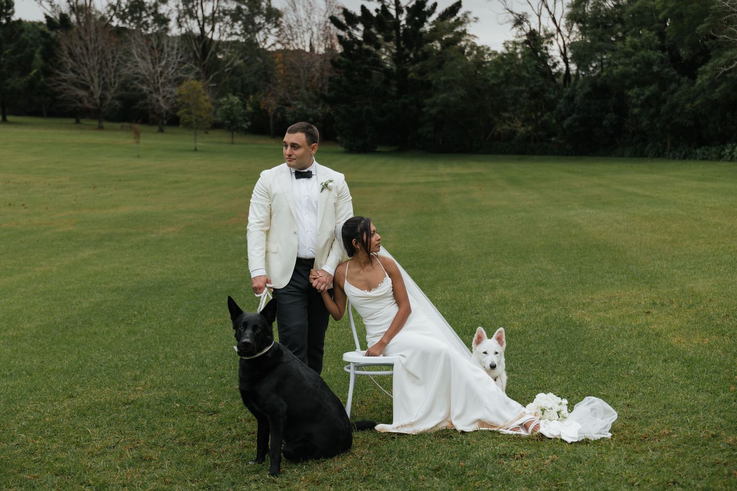 Bride and groom pose with black and white German Shepherds on lush green lawn during outdoor wedding photo session.