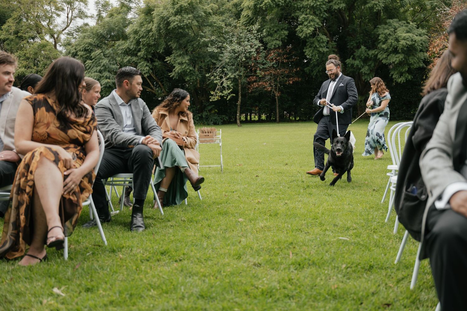 Man walking black dog on leash at outdoor wedding ceremony with guests seated on chairs in garden.