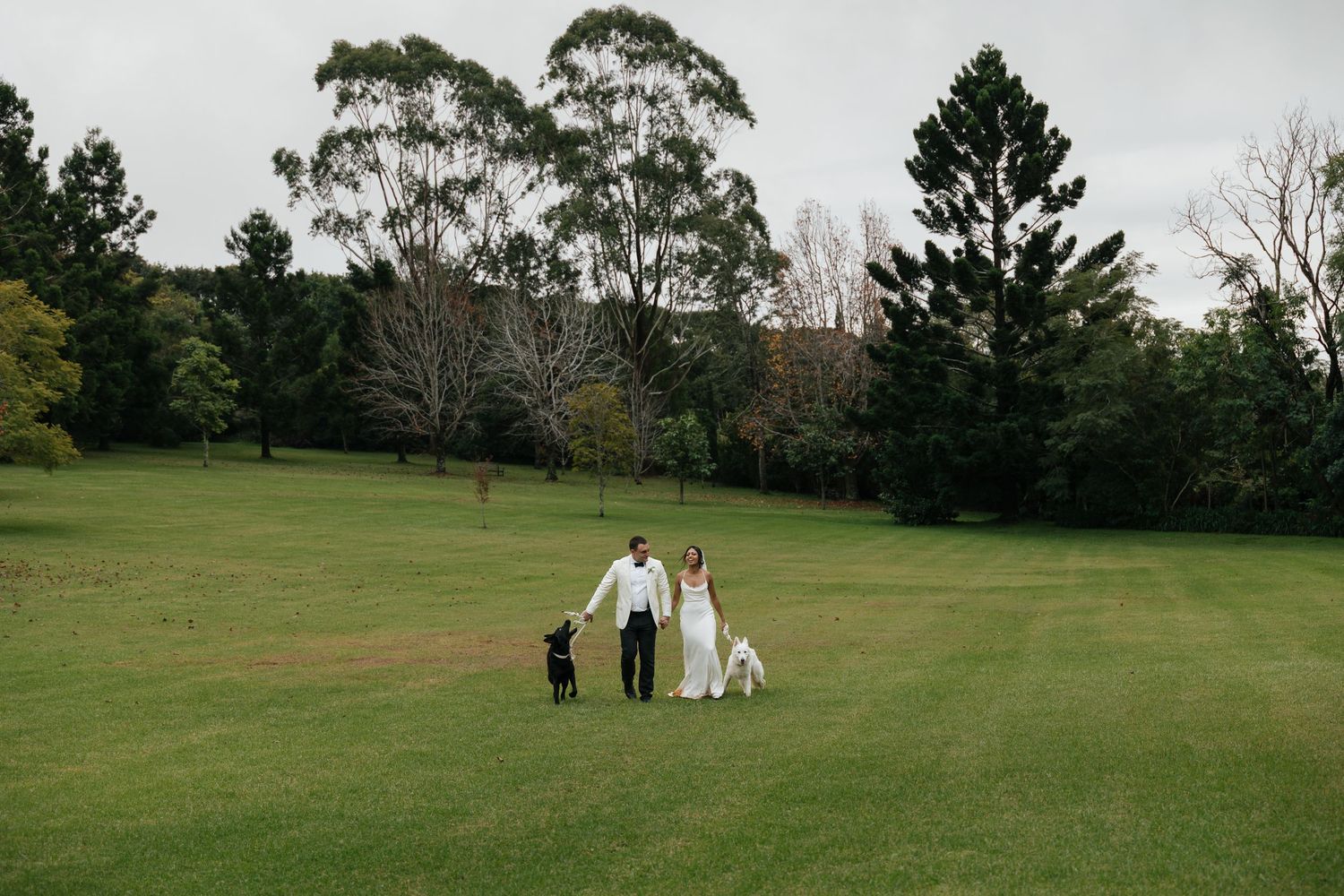 Bride and groom walking with their dog across a lush green lawn surrounded by tall trees on their wedding day.