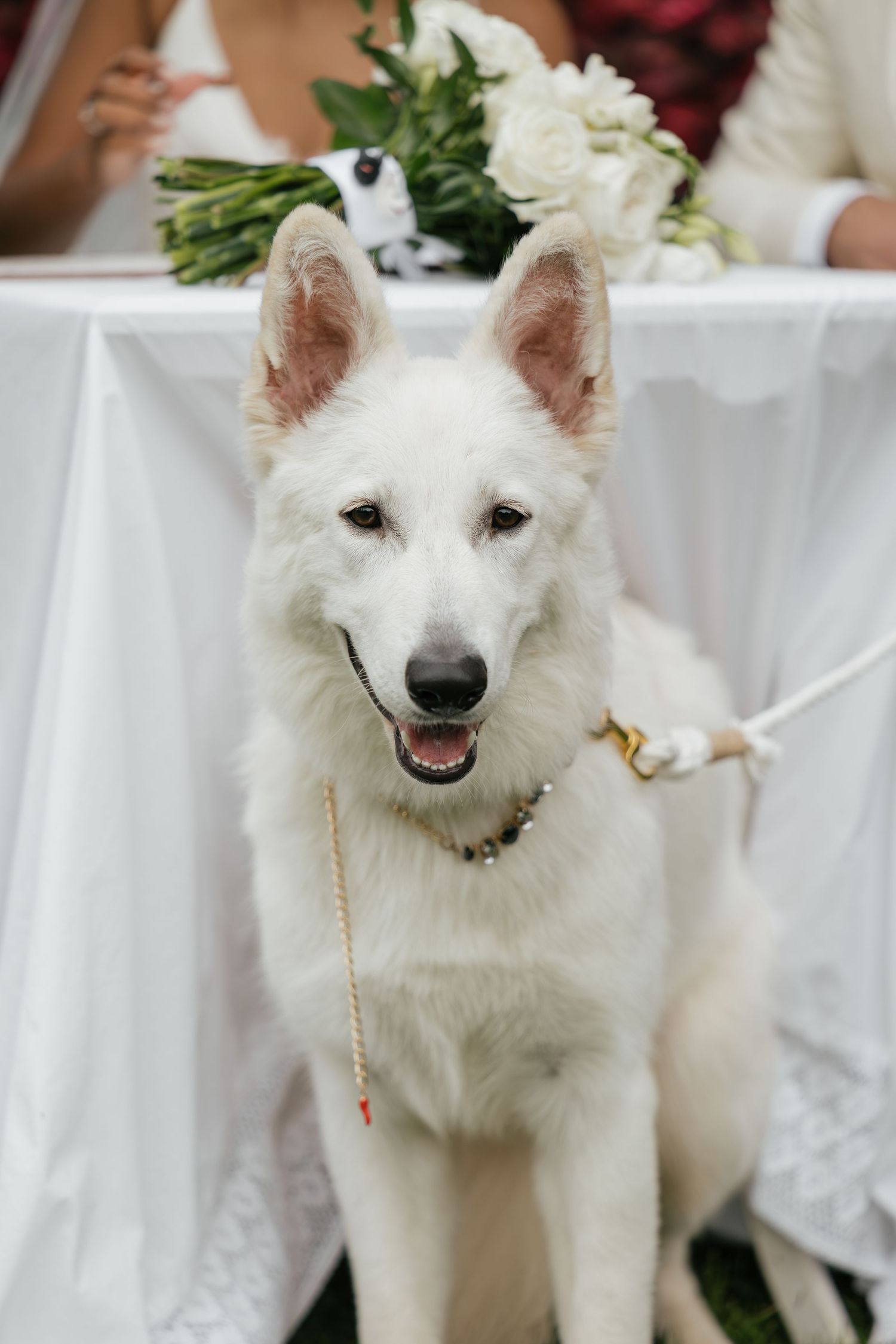 White Swiss Shepherd dog sitting at a wedding ceremony with floral bouquet and white draped table in background.