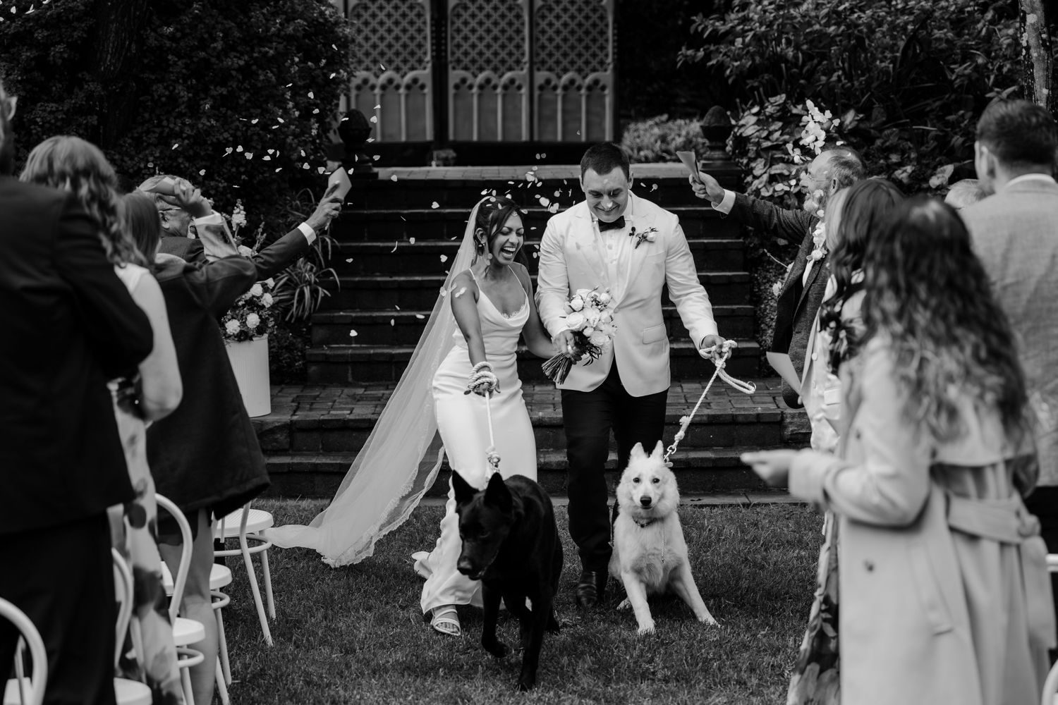Black and white photo of newlyweds walking down aisle with two dogs at outdoor wedding ceremony.