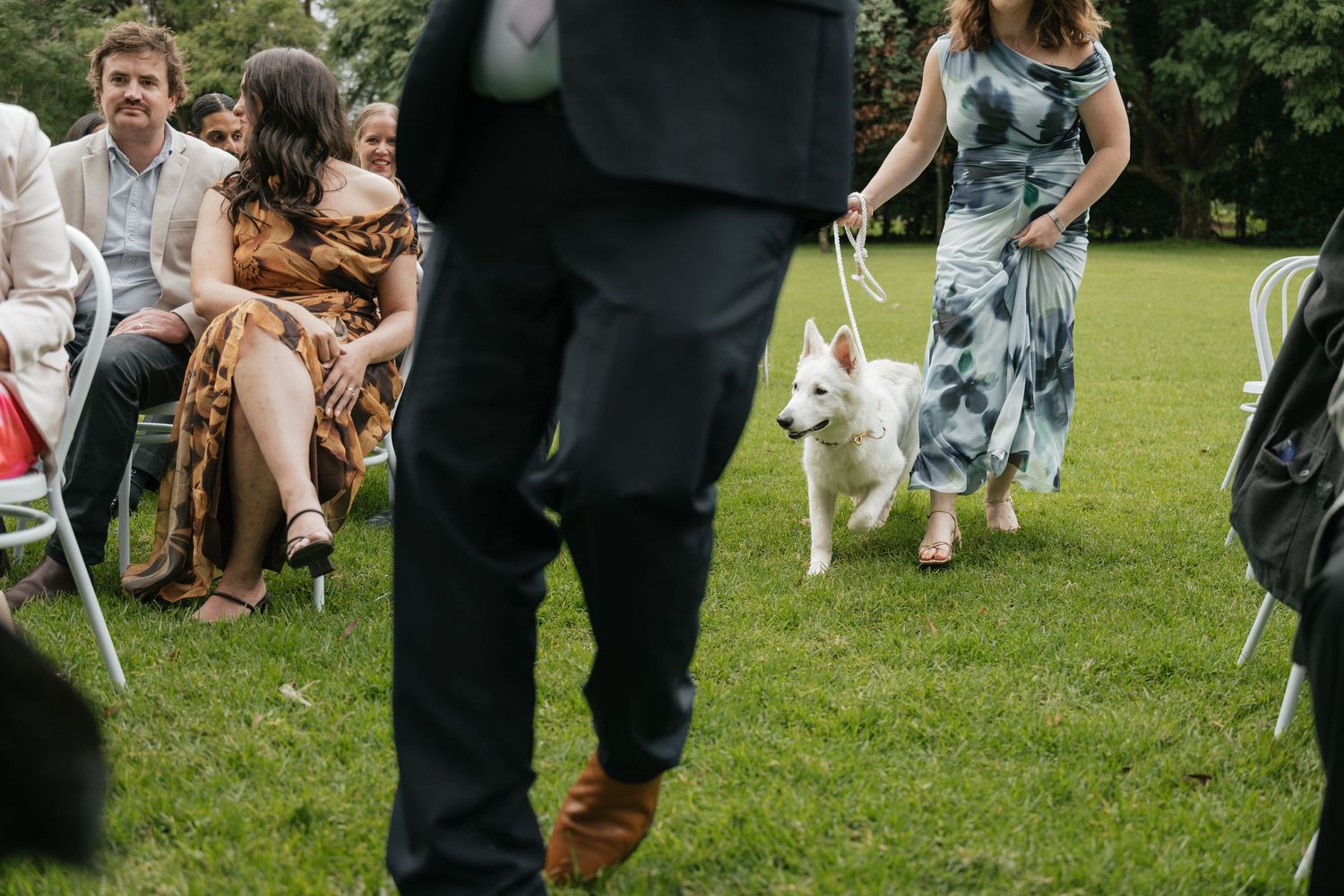 A woman in a floral dress walks a white dog down a grassy outdoor wedding ceremony aisle.