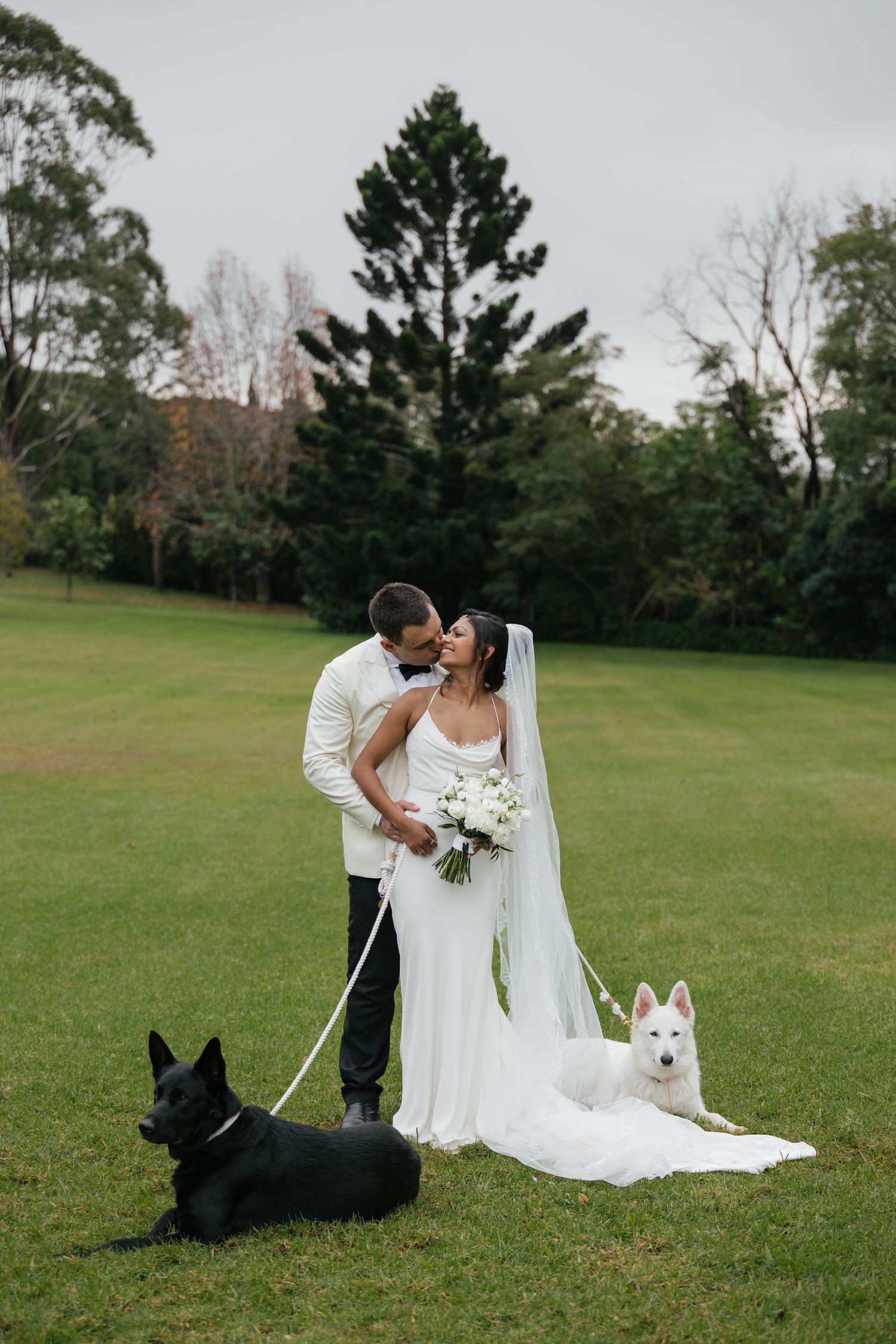 Bride and groom kissing on green lawn with black and white German Shepherds on leashes at outdoor wedding.