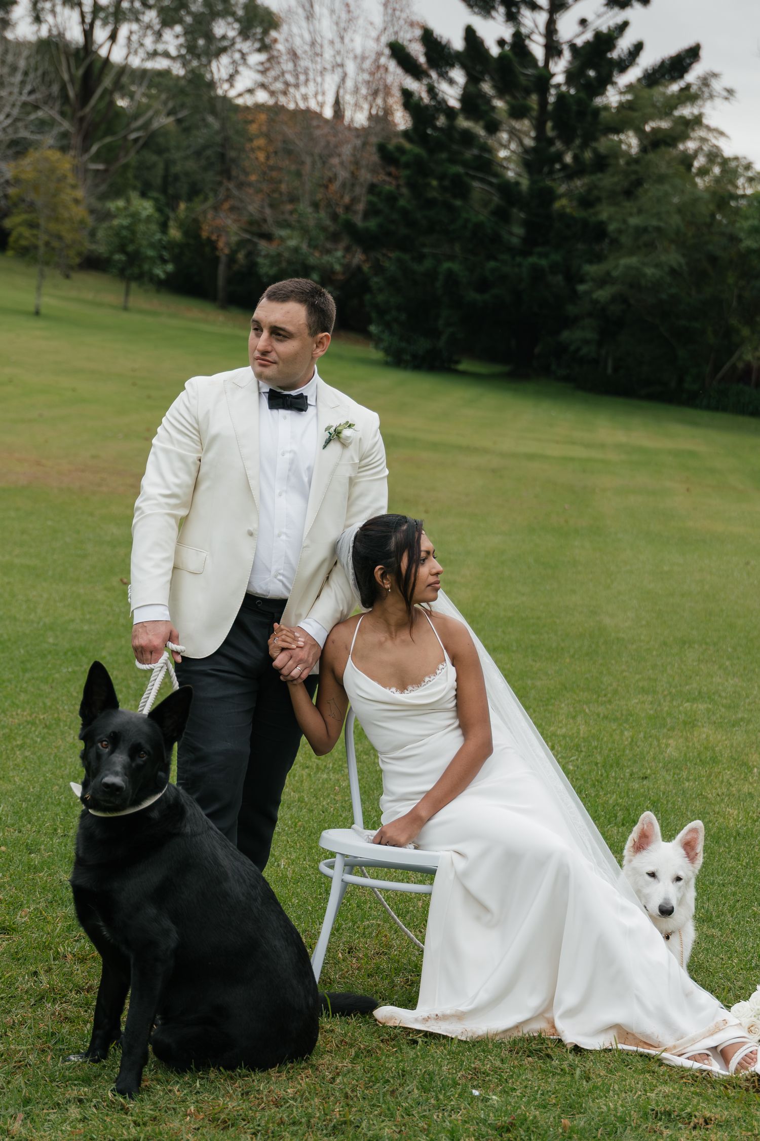 Bride and groom pose with two dogs on green lawn, wearing white wedding attire outdoors.