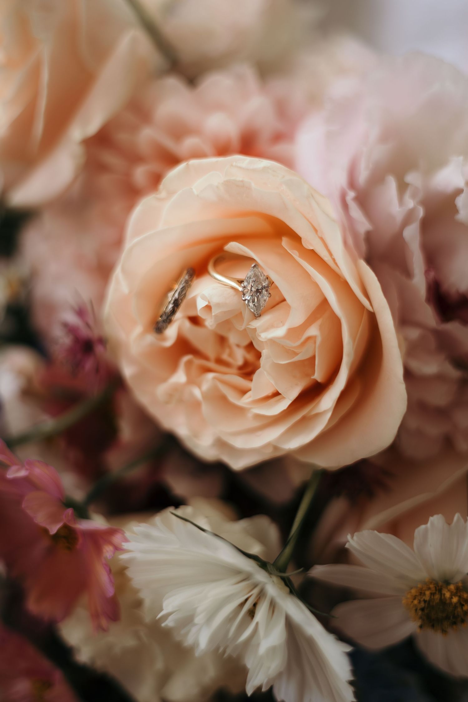 Diamond engagement ring and wedding band nestled in a peach garden rose bouquet with soft pink flowers.