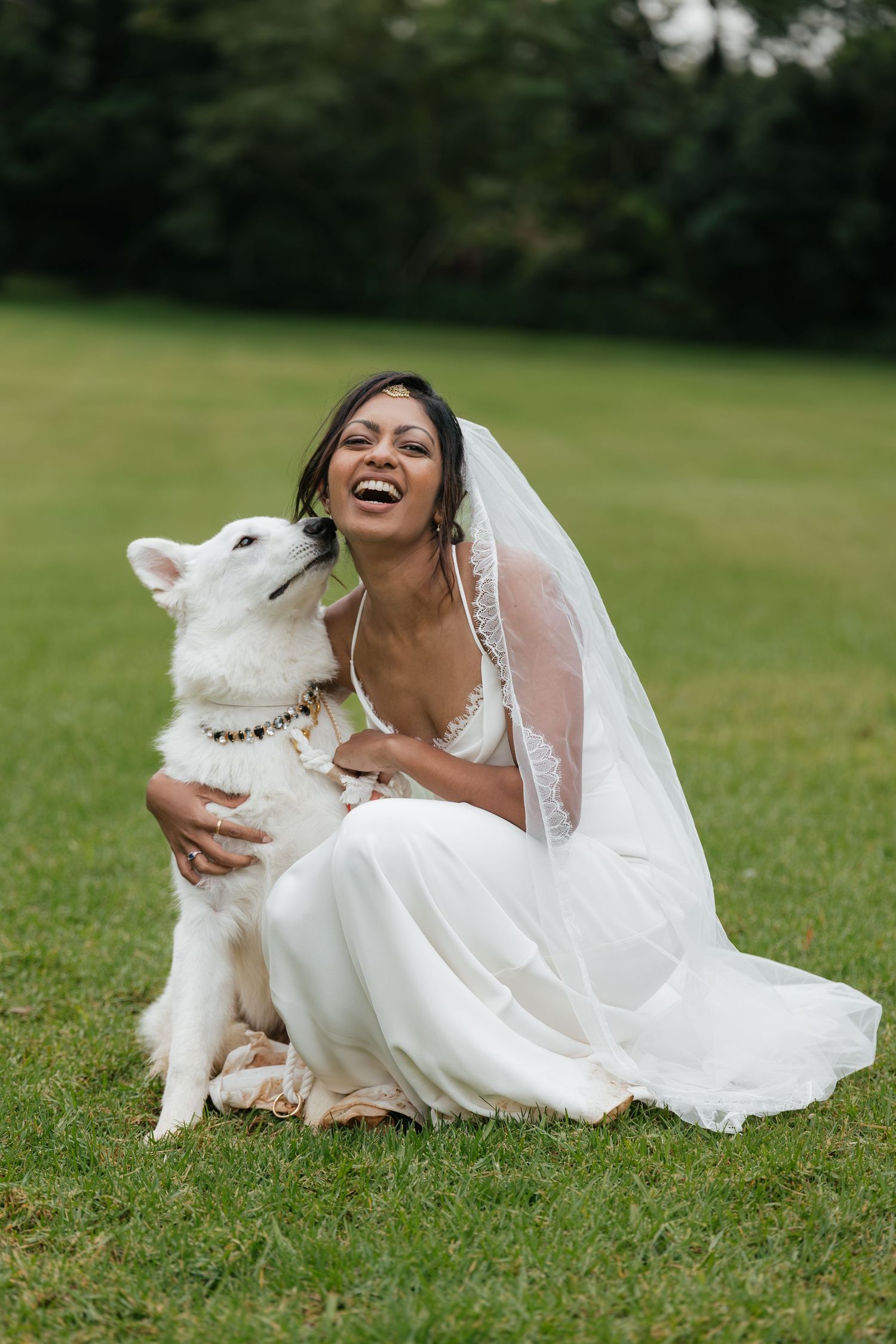 A laughing bride in a white gown and veil sits on green grass with a white dog on her wedding day.