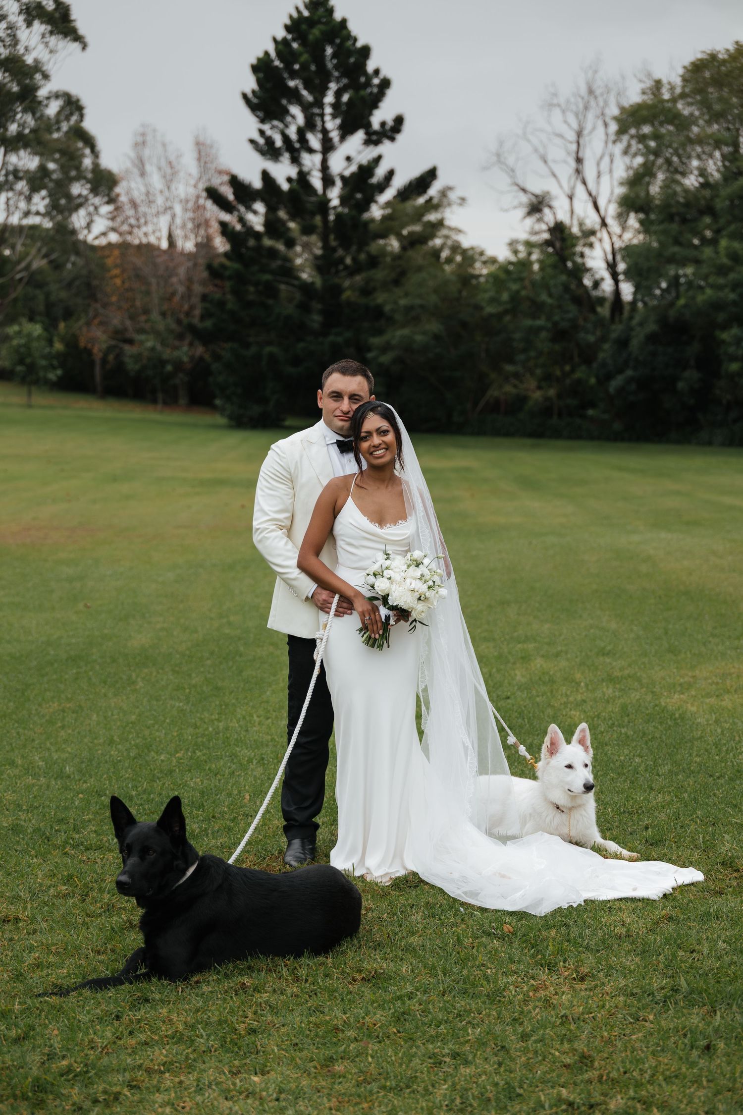 Bride and groom pose with two dogs, a black and white German Shepherd, on lush green lawn in wedding attire.