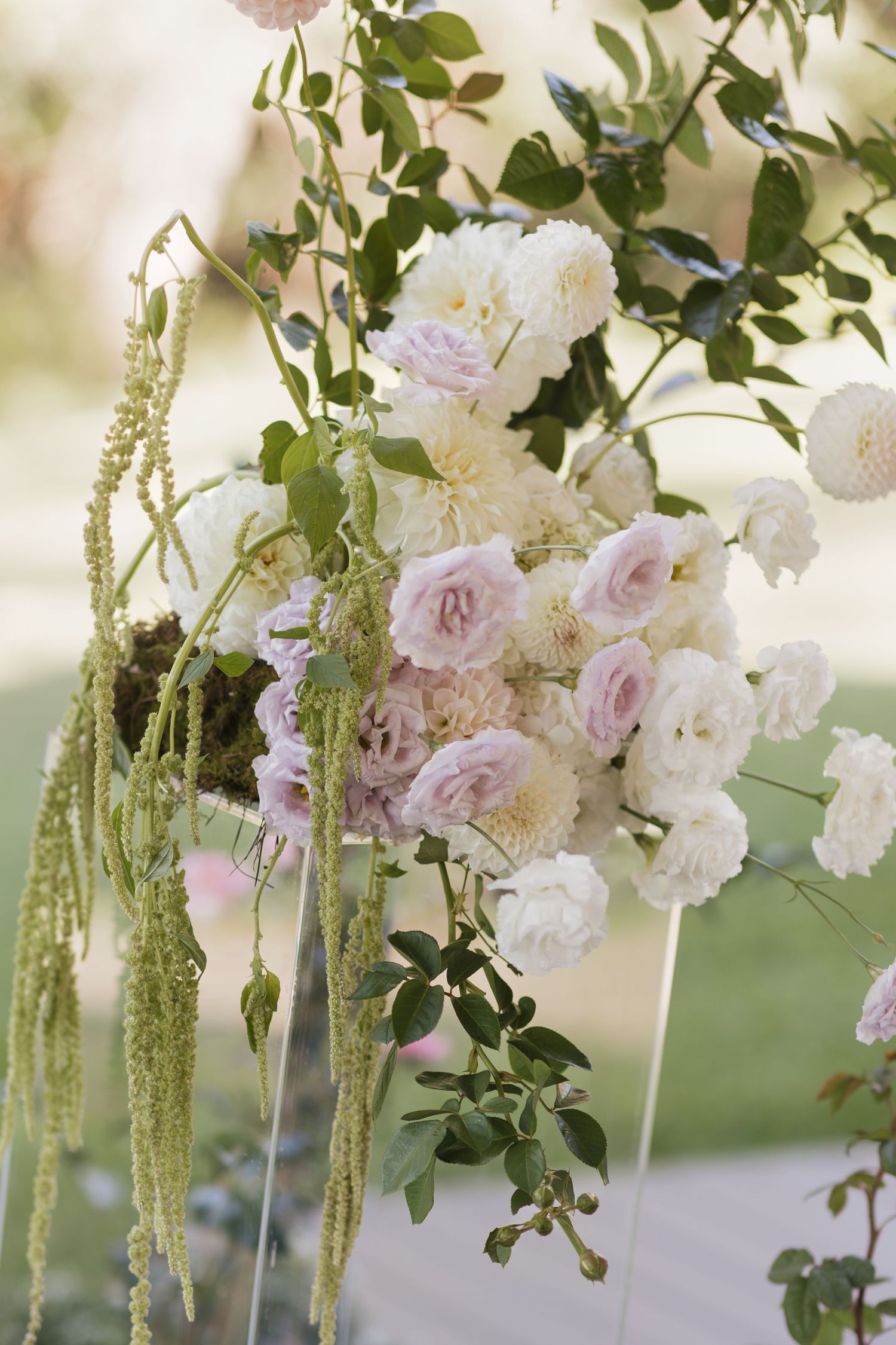 Elegant wedding arch adorned with blush pink roses, white dahlias, greenery, and cascading amaranthus blooms.