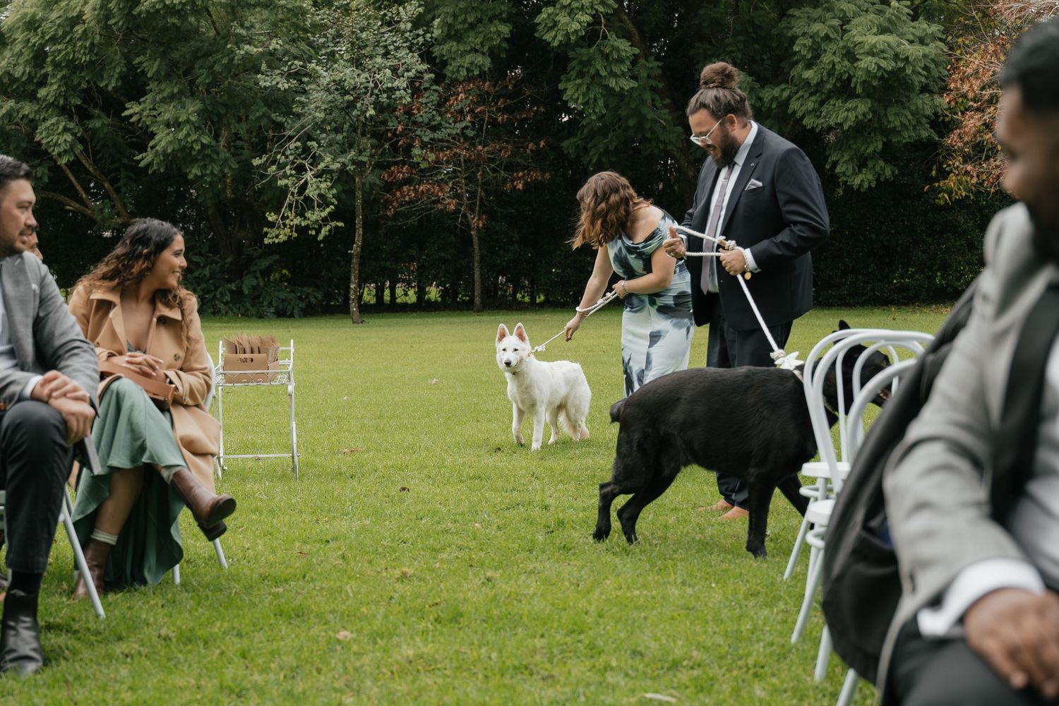 Outdoor wedding ceremony on green lawn with guests seated as handlers walk white and black dogs down the aisle.