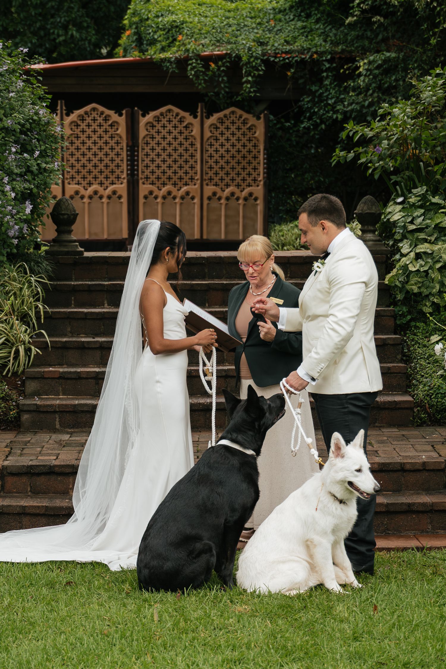 Bride and groom exchange vows outdoors with two dogs, a black Labrador and white German Shepherd, during garden wedding ceremony.