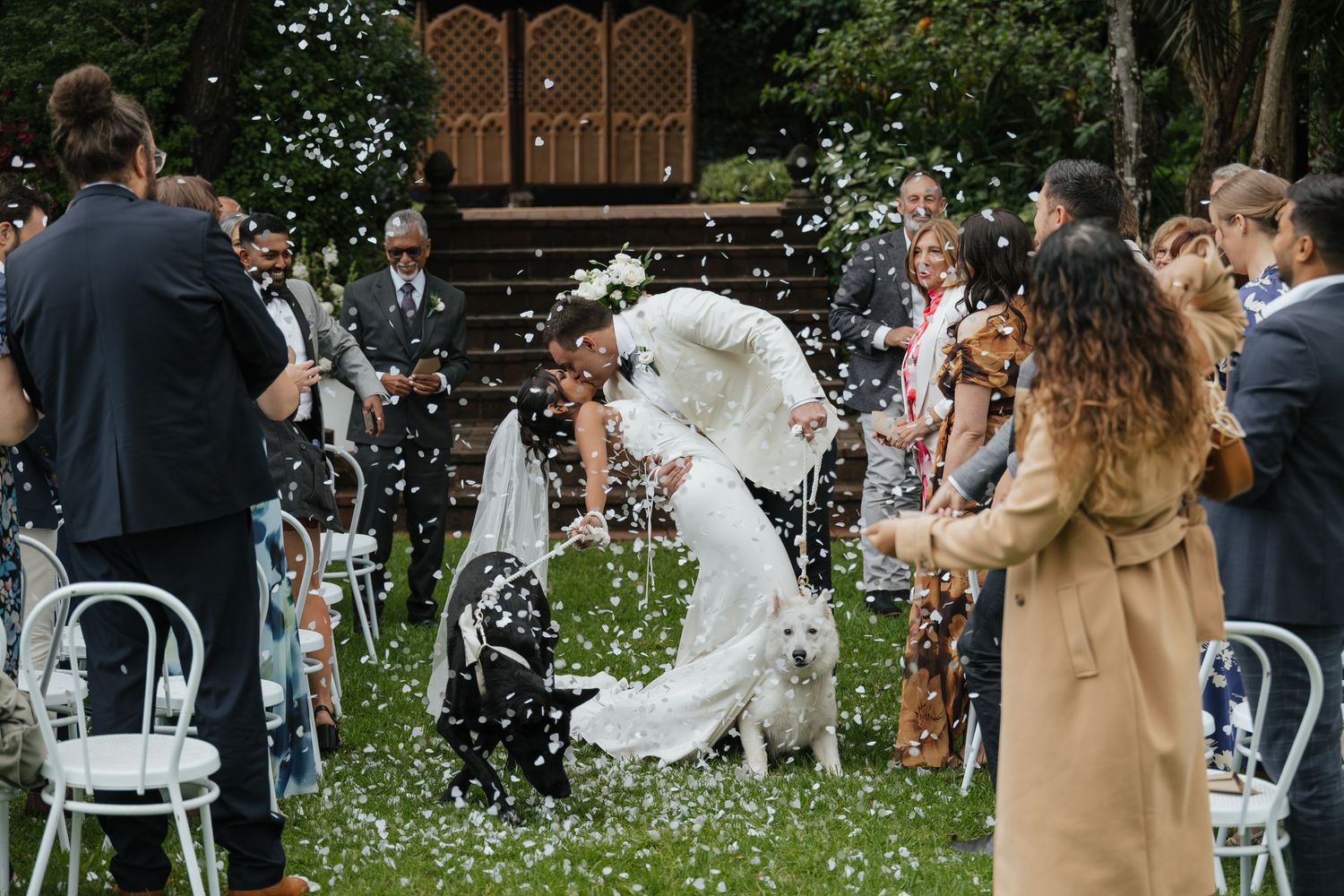 Bride and groom kiss as guests toss white flower petals during outdoor wedding ceremony with dogs present.