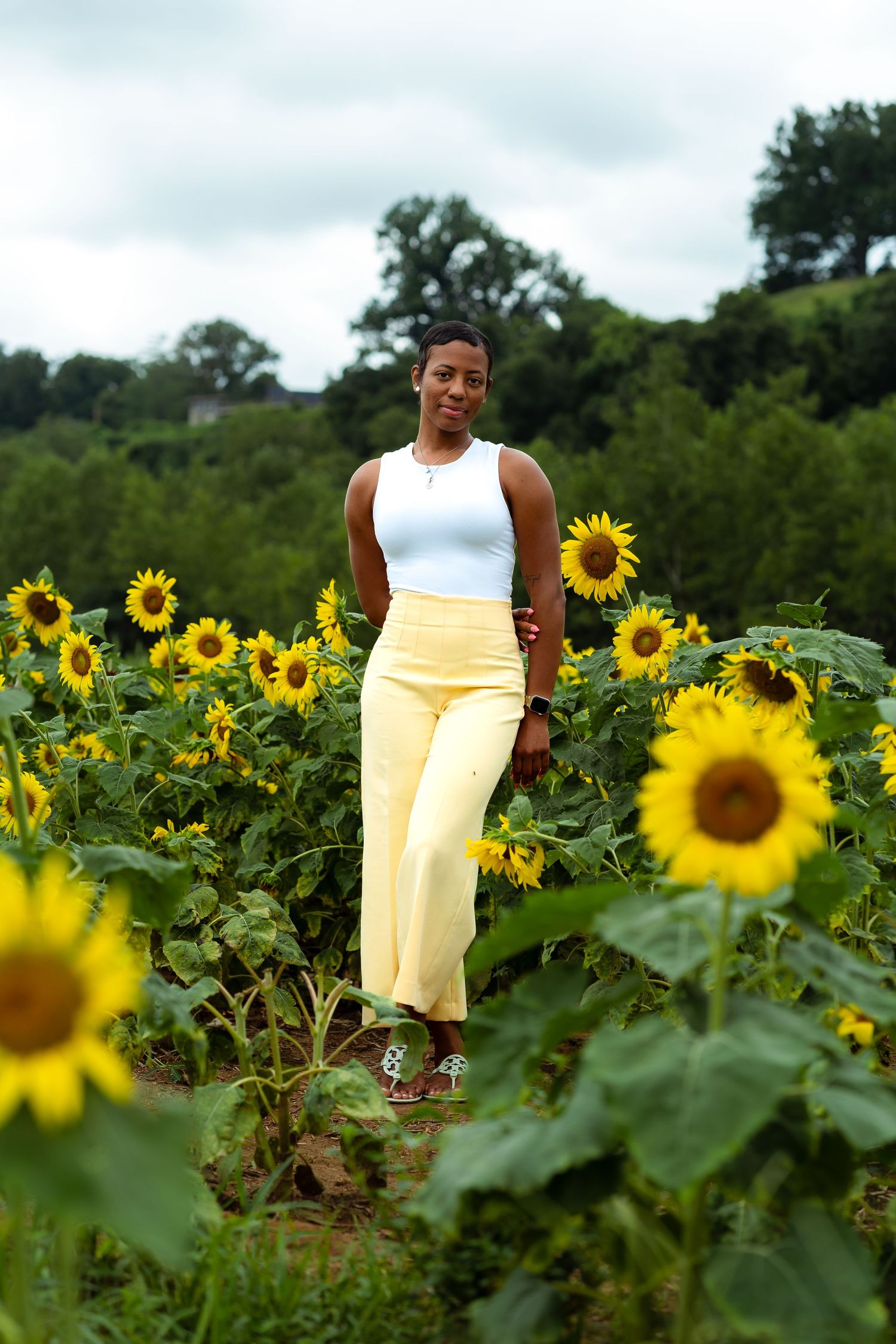 A beautiful sunflower field in South St. Louis County with bright yellow blooms against a cloudy summer sky.