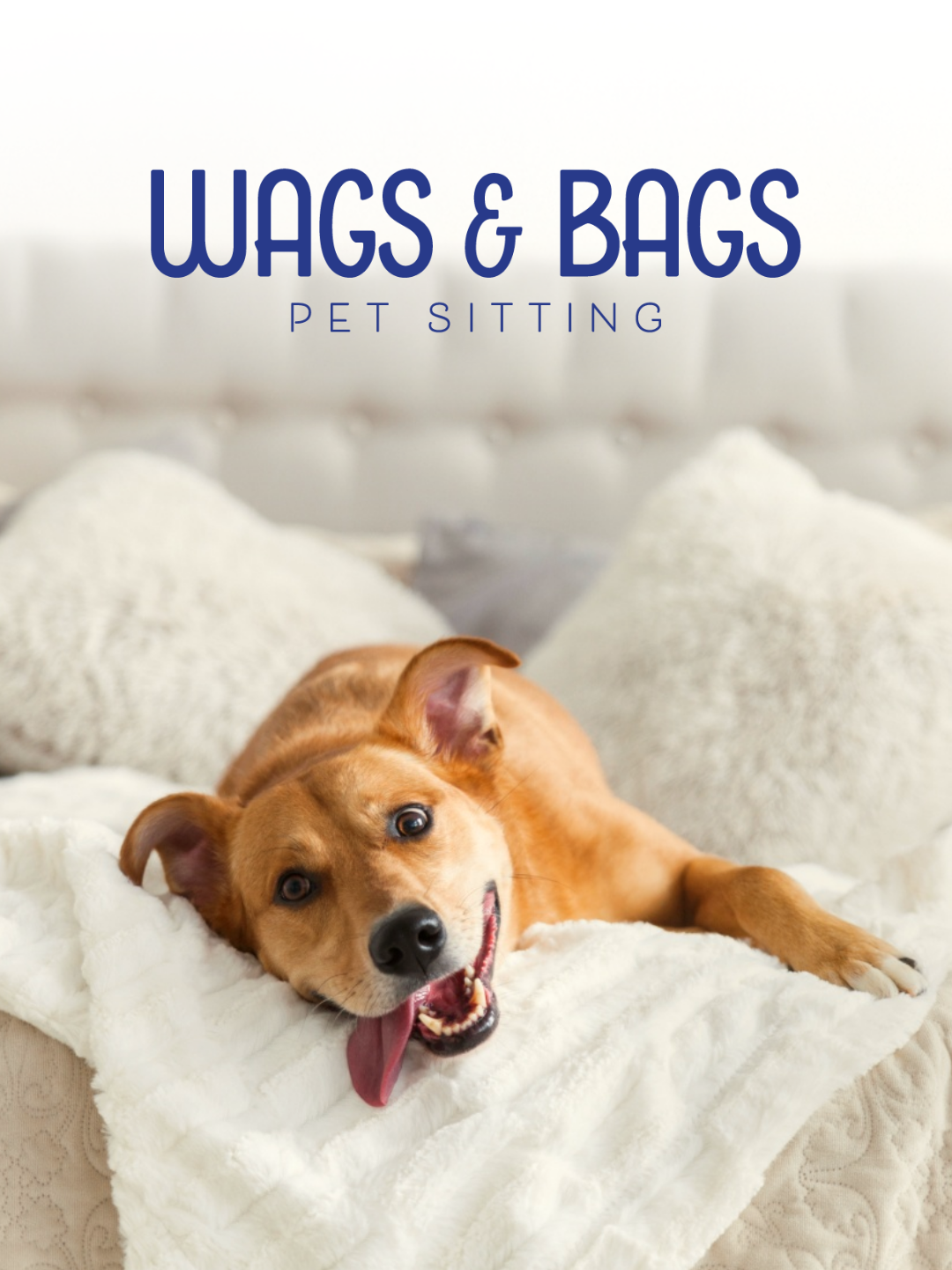 A playful brown dog lying on white bedding with tongue sticking out in a series of four expressive poses.