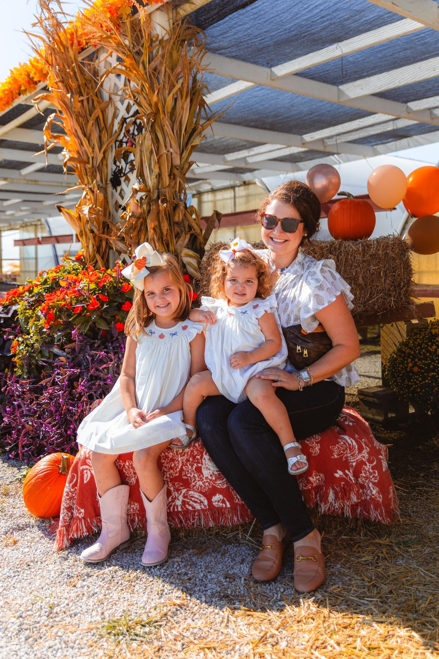 Fall harvest scene with pumpkins and corn stalks as decorative backdrop.
