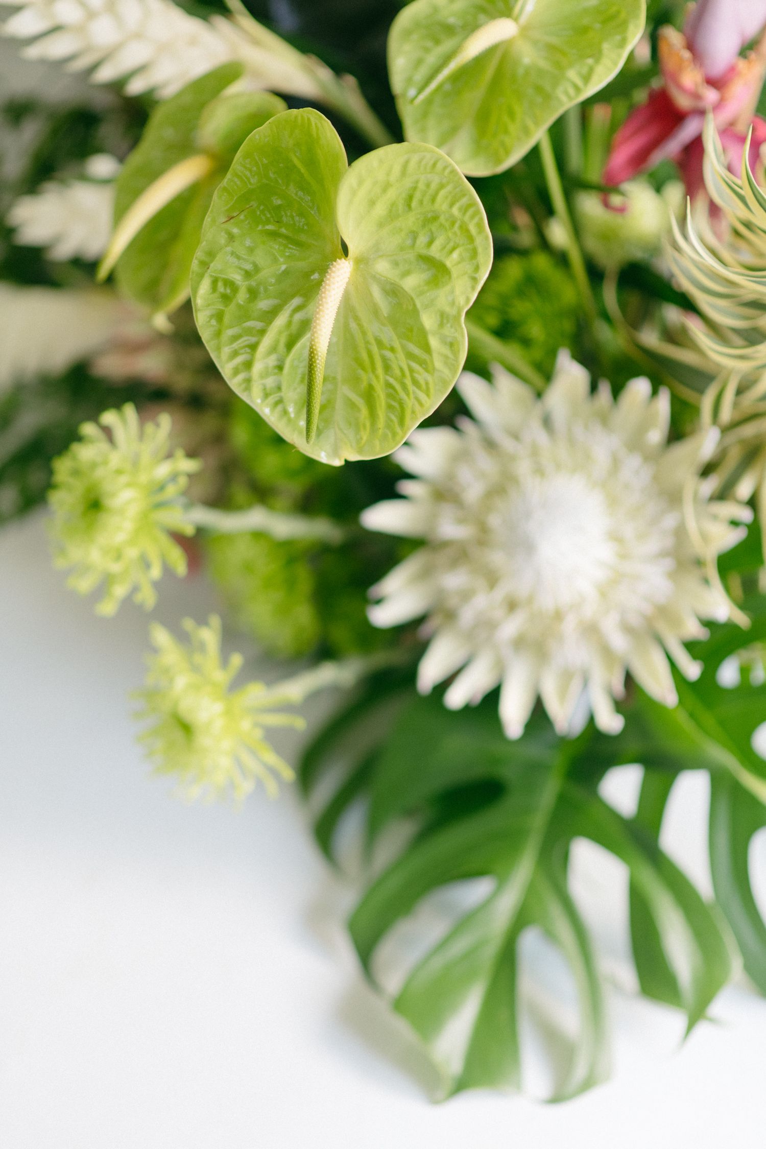 JS Studio events by Jeff Soo for brand and lifestyle design for Khatleen Minerve photographer