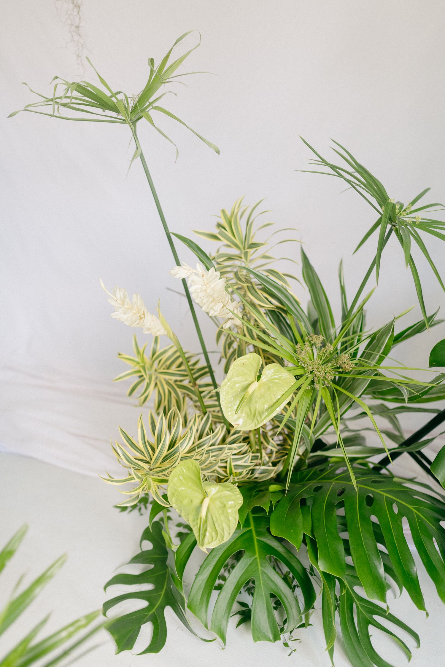 JS Studio events by Jeff Soo for brand and lifestyle design for Khatleen Minerve photographer