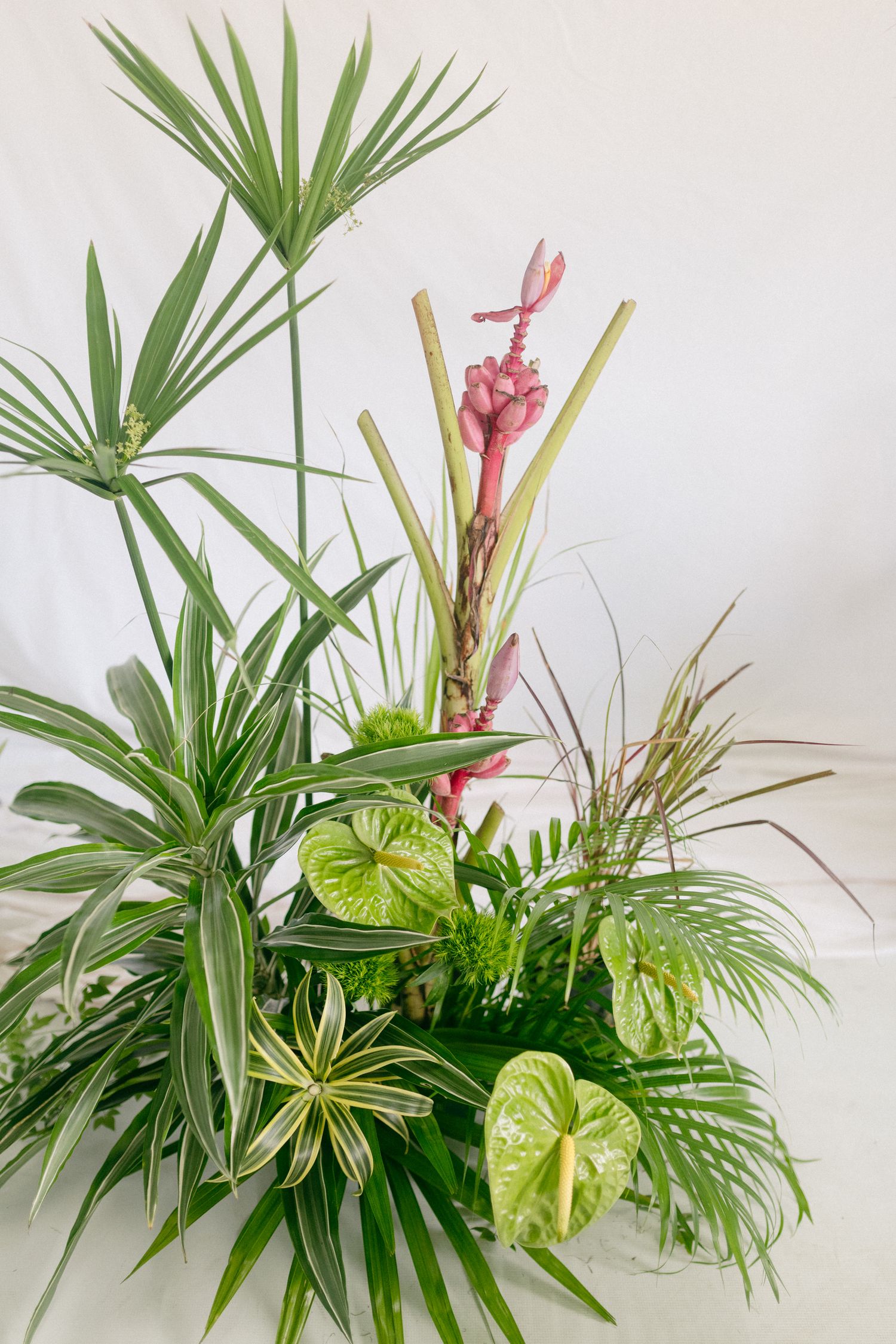 JS Studio events by Jeff Soo for brand and lifestyle design for Khatleen Minerve photographer