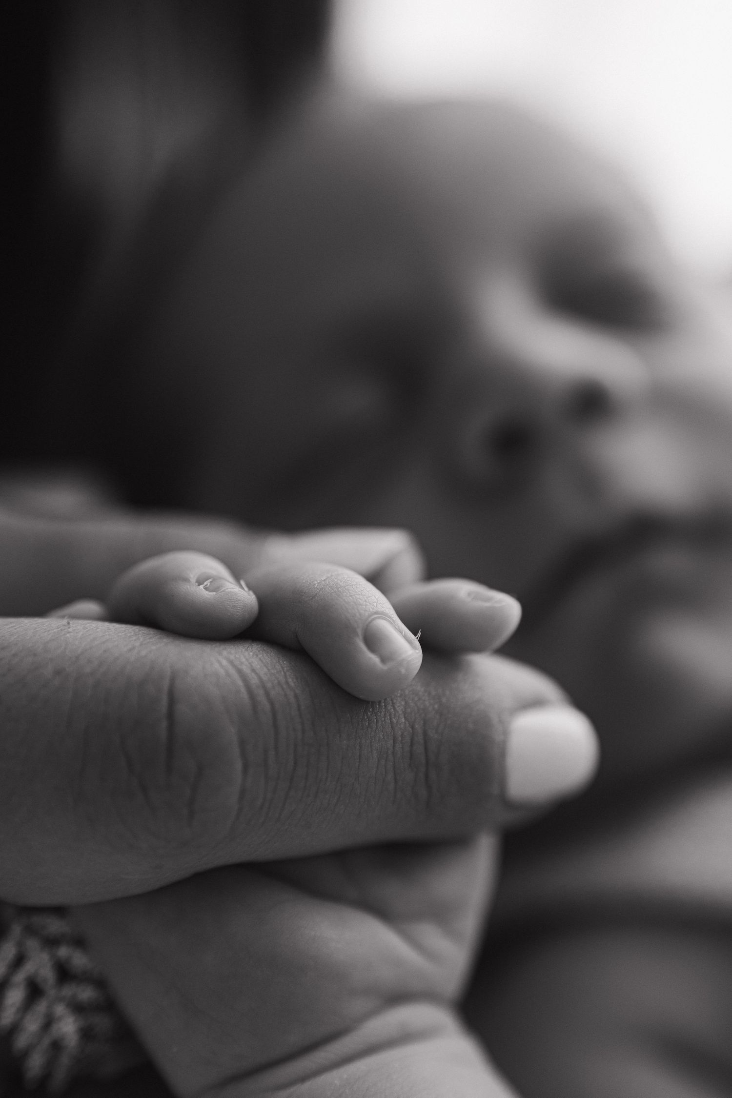 Black and white photo of a newborn baby grasping an adult finger, symbolizing new life and parental bond.