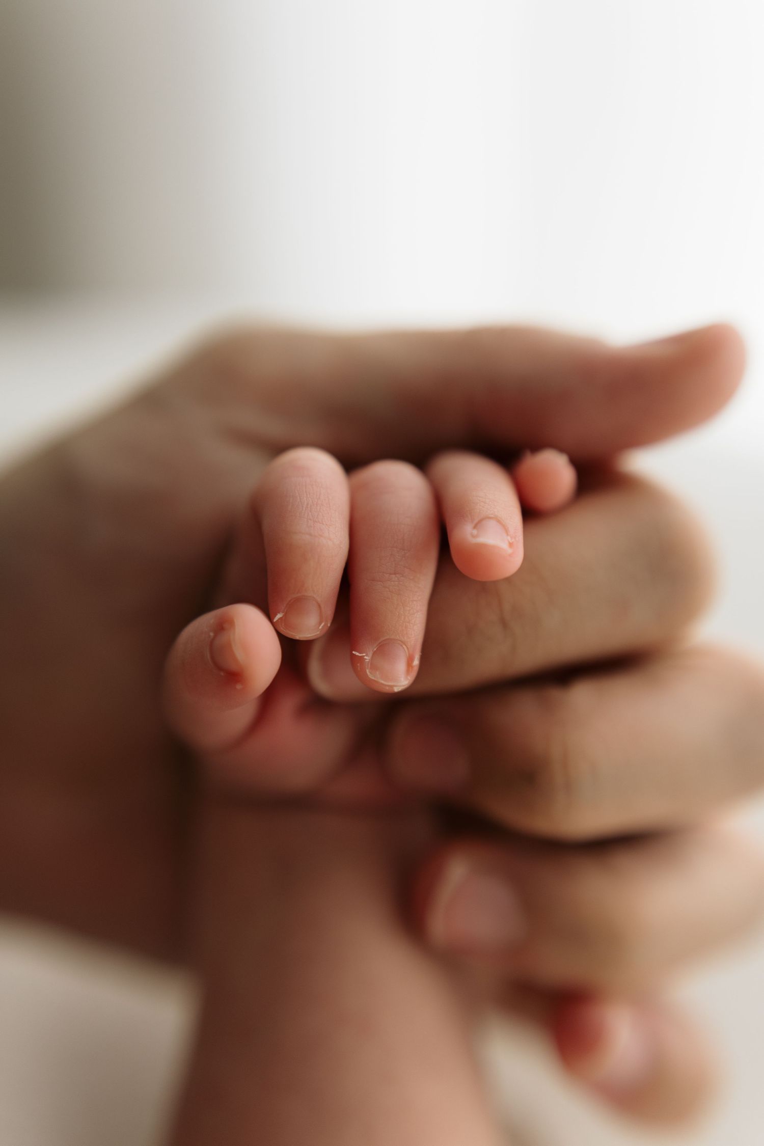 Close-up of a tiny newborn baby hand gently gripping an adult finger, symbolizing love and new parenthood.