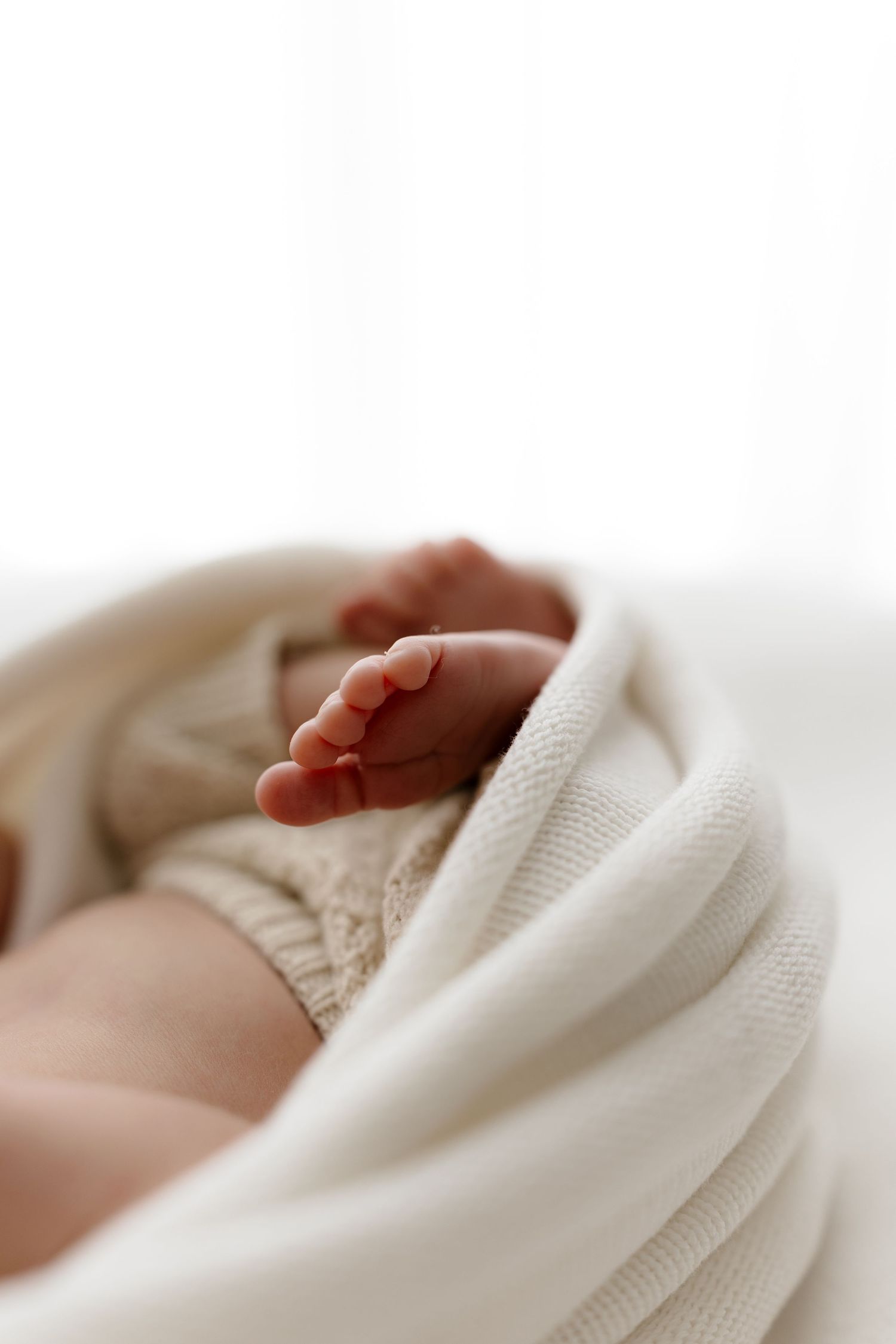 Close-up of tiny newborn baby feet wrapped in a soft cream knit blanket on a white background.